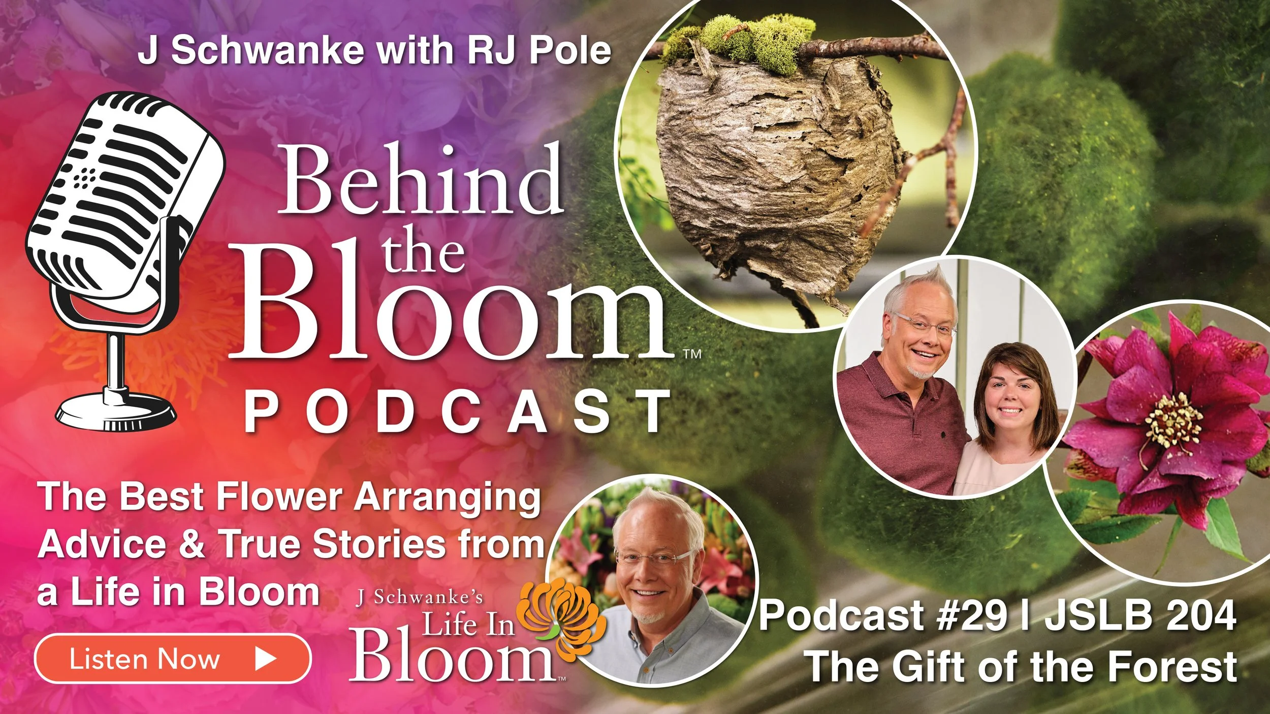 Forest Bathing, Hellebores, Meadows &amp; Moss, and Season 1 RECIPES!