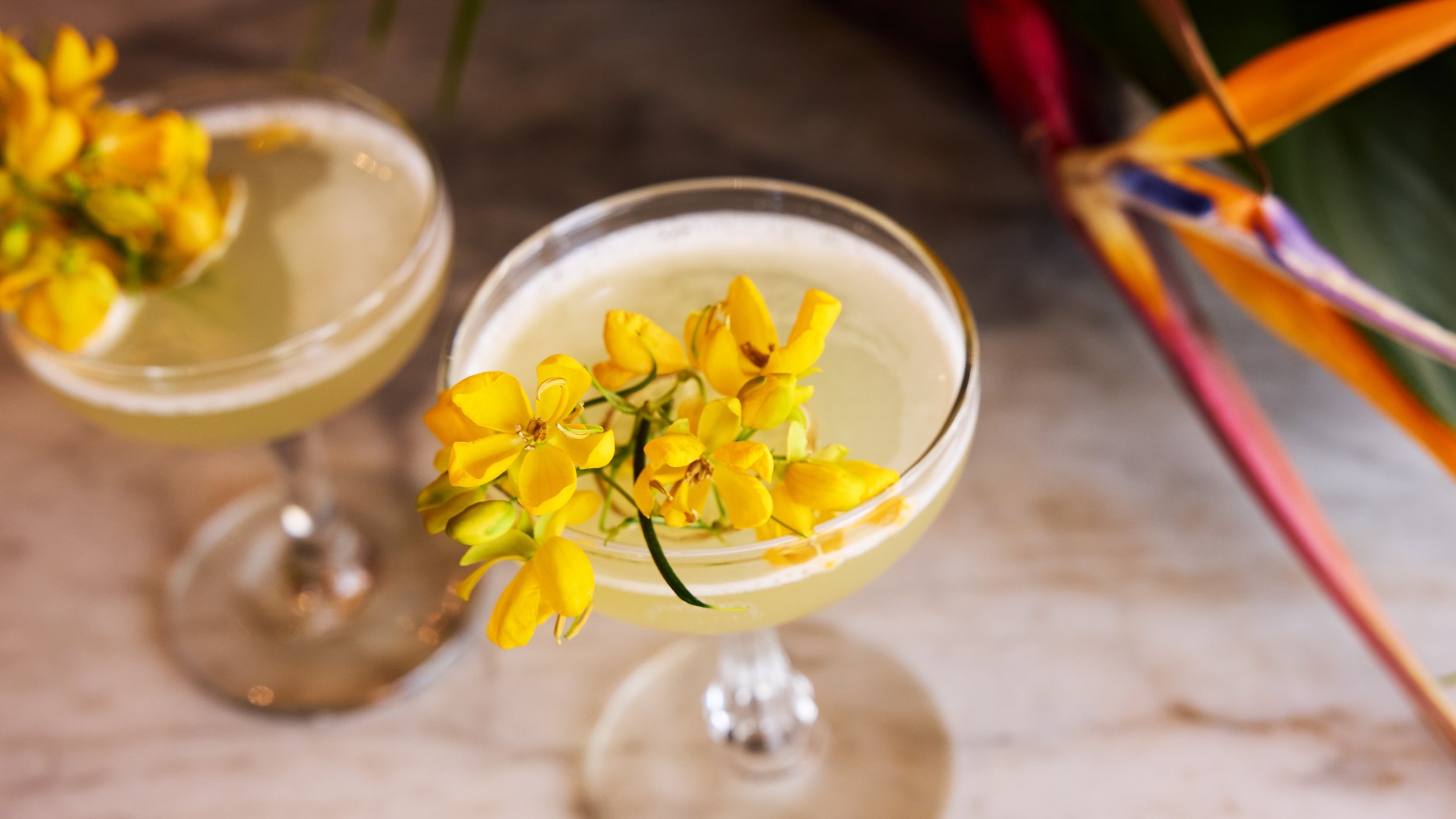 Ohi”a Lehua Daquiri -#FlowerCocktail Hour - Recipe courtesy of Jenny Fiedler