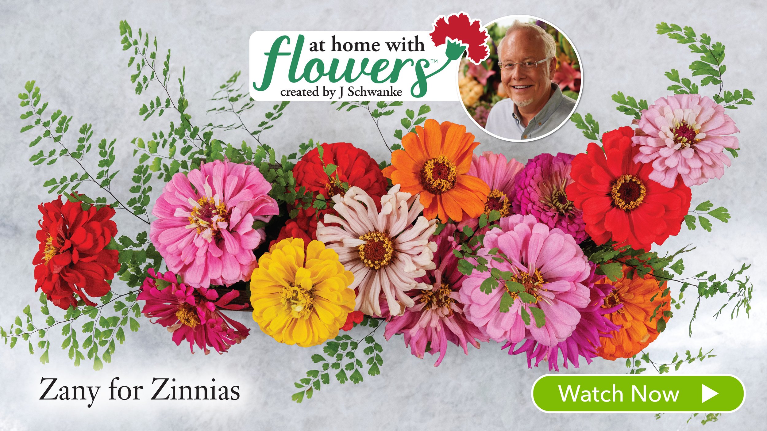 Zany For Zinnias- this week’s FREE uBloom Video!