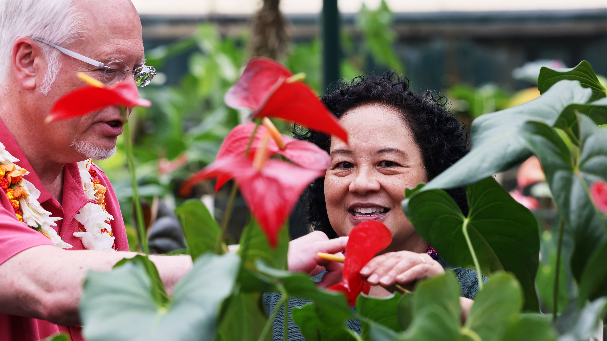 Flowers of Hawaii -                           Season 8 Episode #802