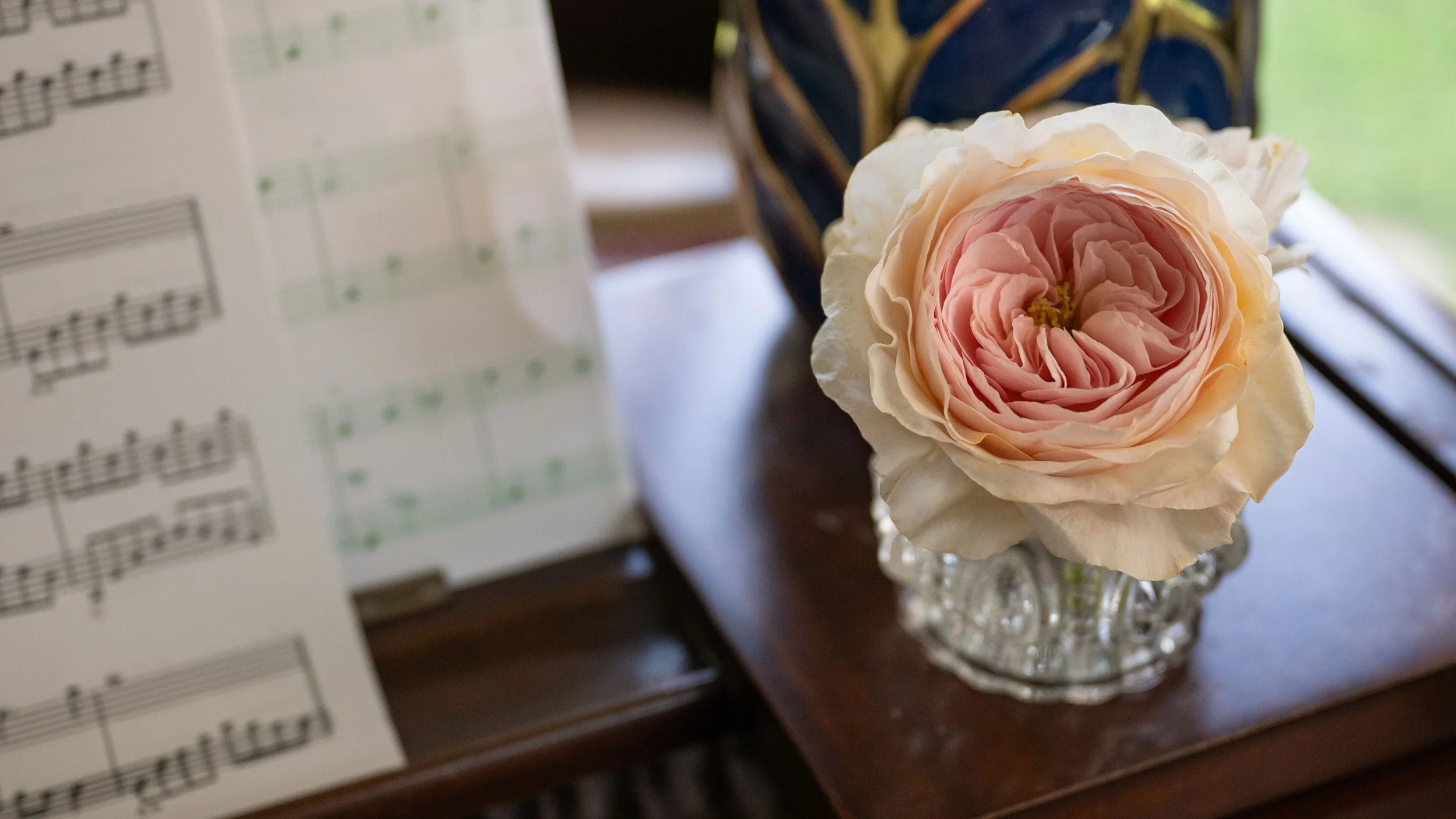 “Beauty Blooms” - Season 8 Premiere Episode #807