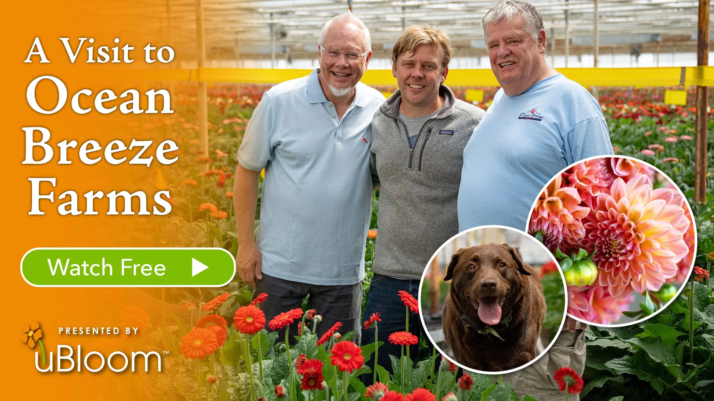 A Visit to Ocean Breeze- With René and Ivor Van Wingerden