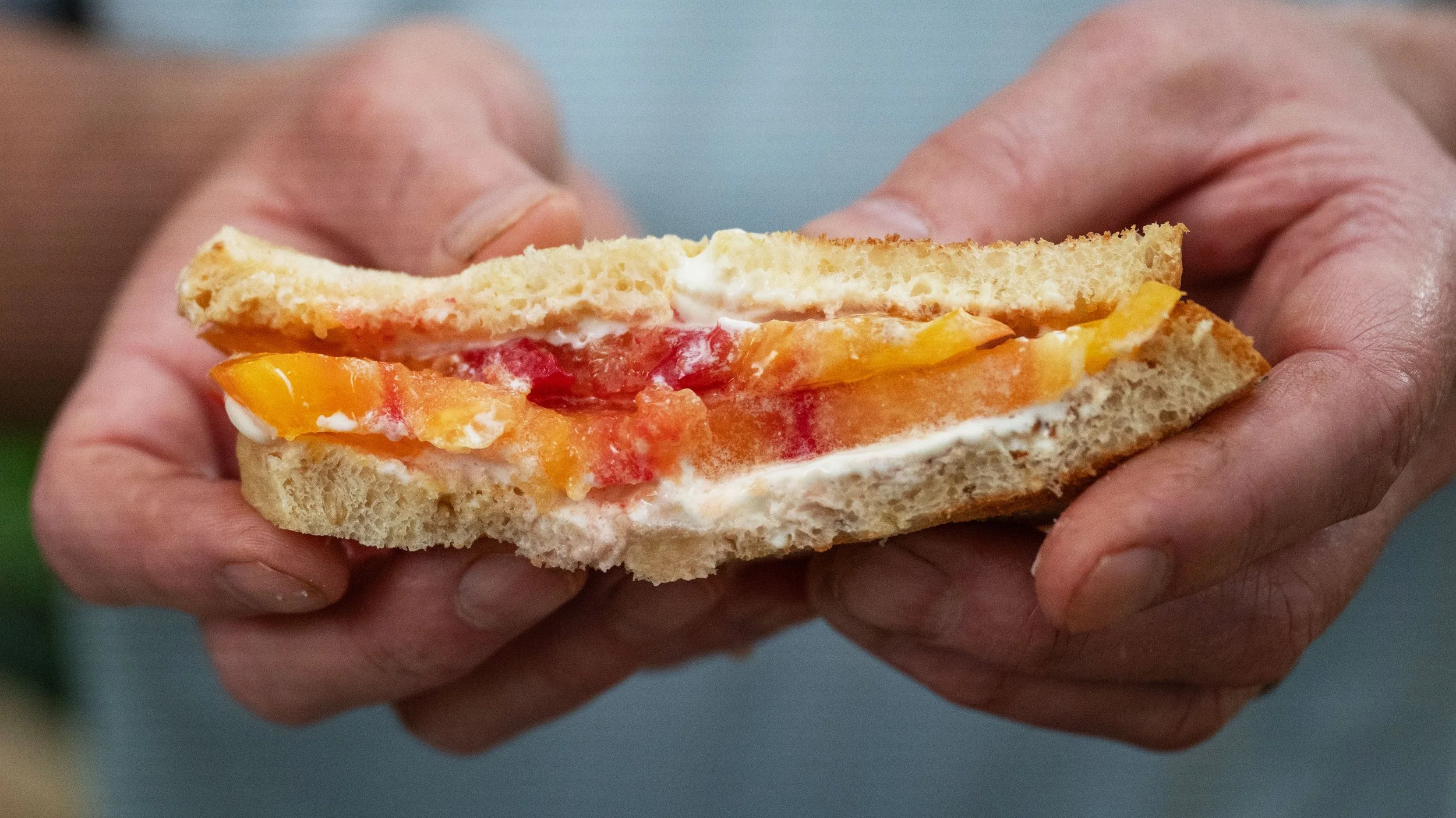 Tomato Sandwich #RecipeinBloom 