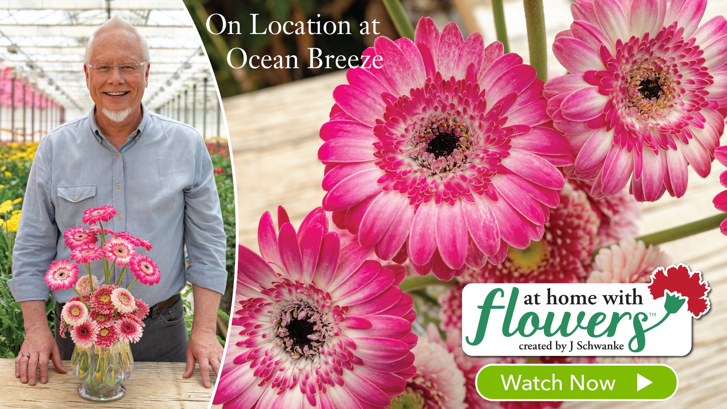 Gerberas On Location- and J takes on “in lieu of Flowers” in his podcast!