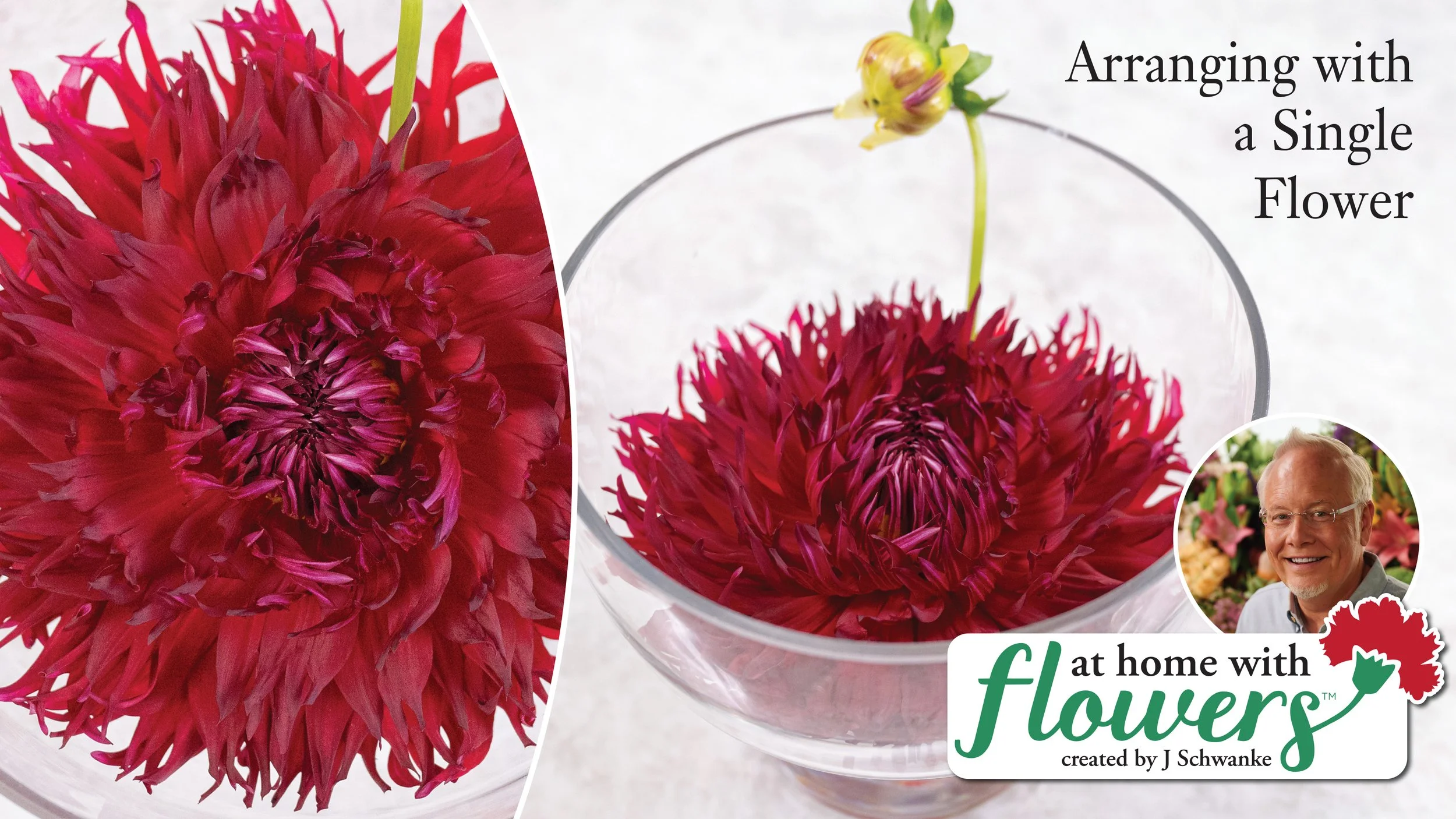 Simple Arranging with Just ONE Flower! 