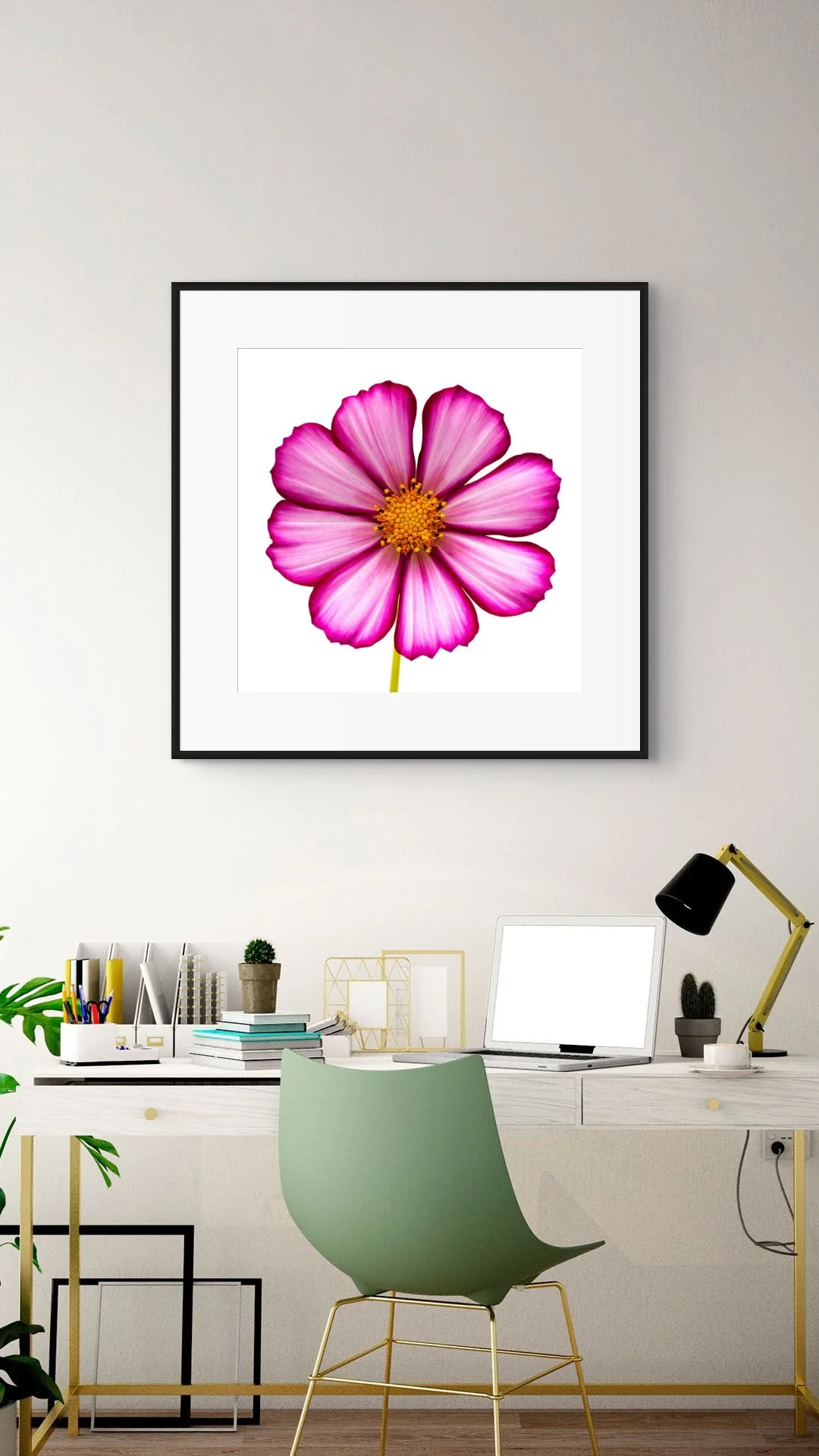 cosmos_8446229-2-full.jpg