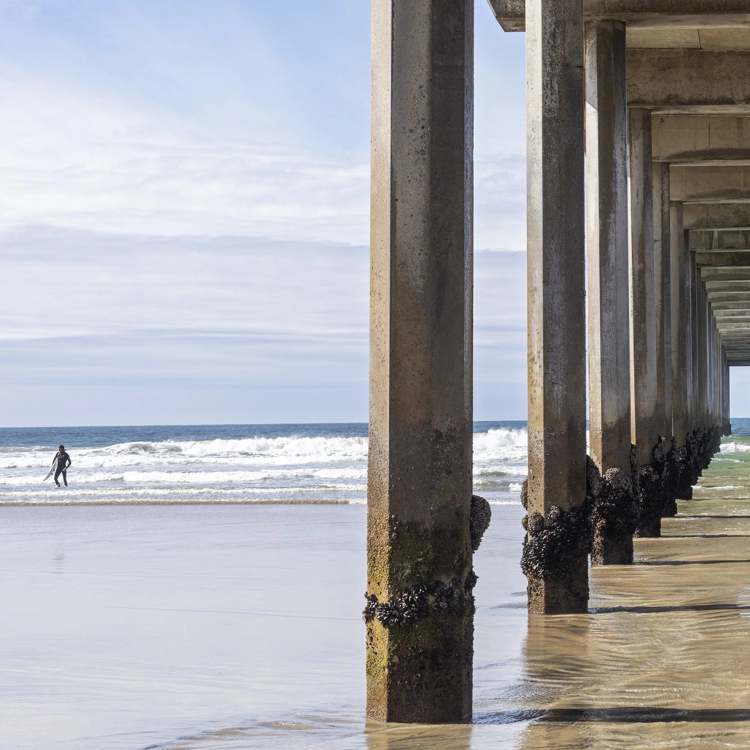 CA_SCRIPPS_2873-3.jpg