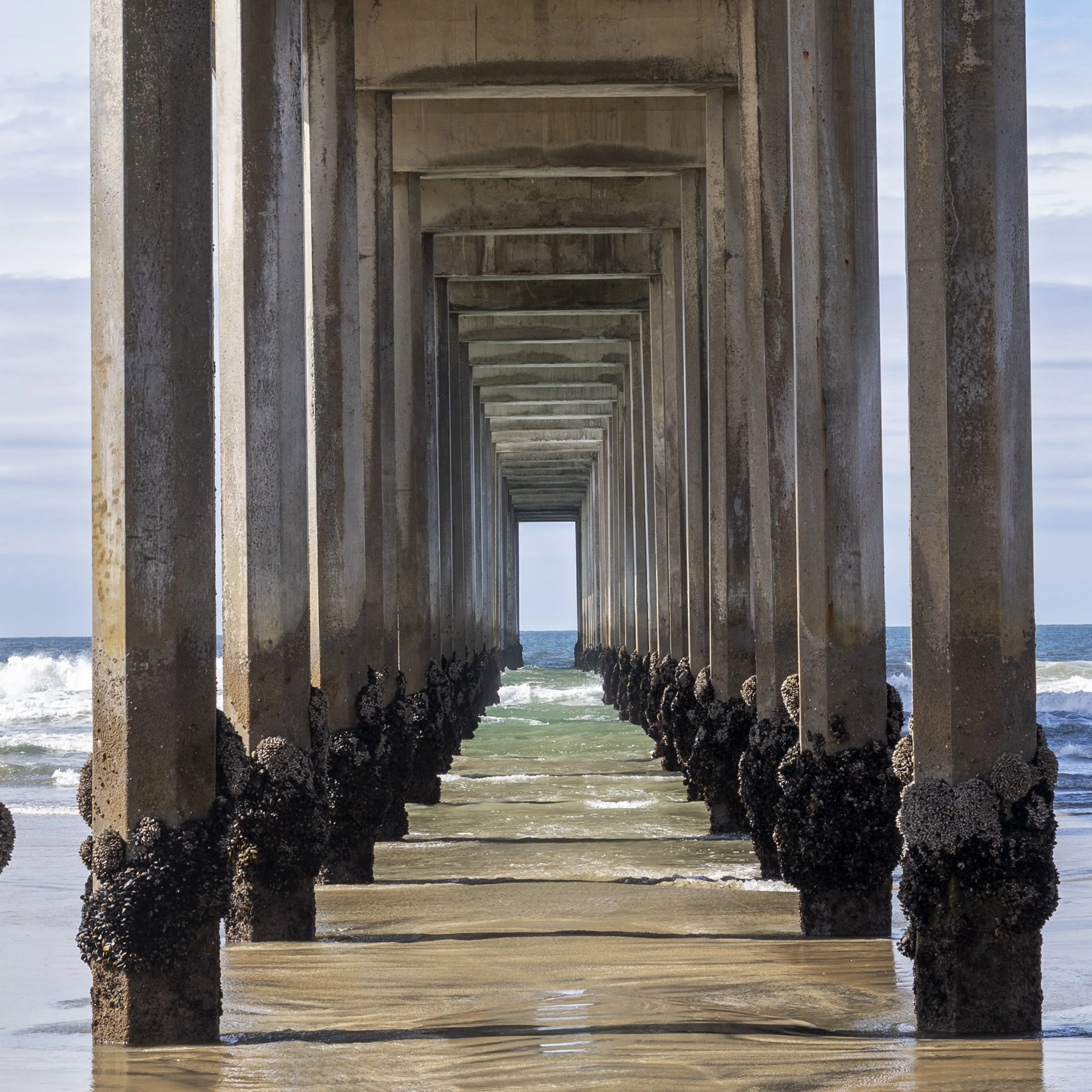CA_SCRIPPS_2873-2.jpg