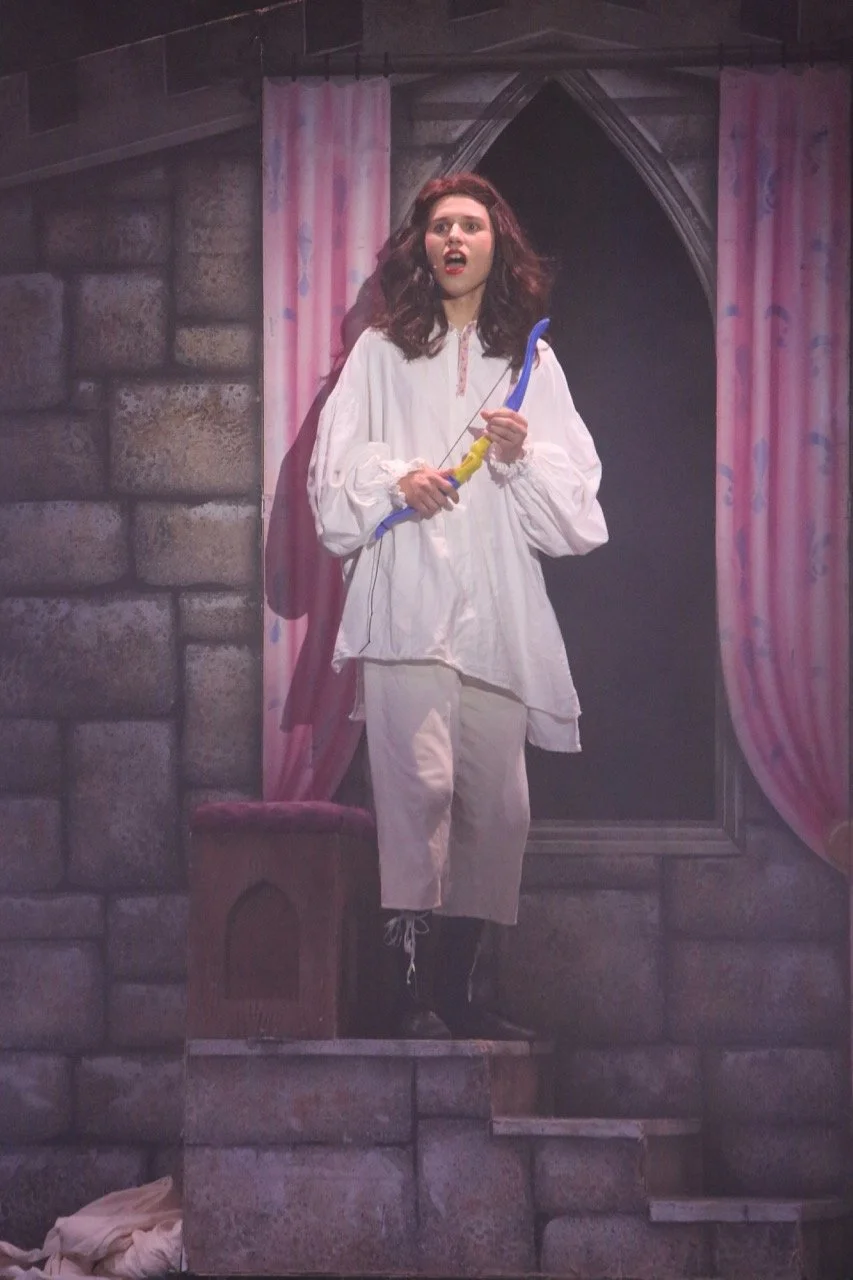 SAMTC-Spamalot-April-2017-251.jpeg