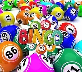 Bingo on the patio at Redtail Mountain Vineyard