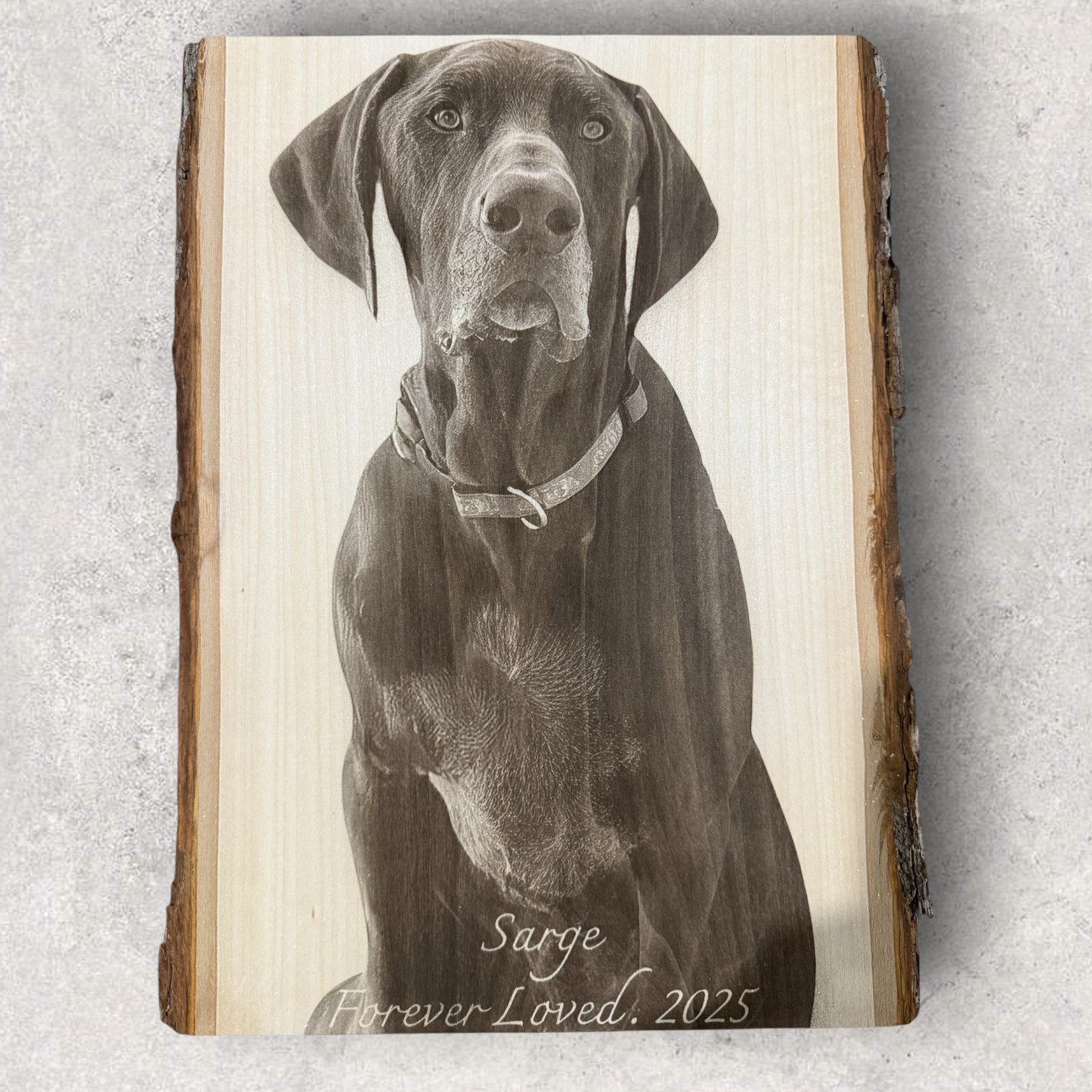 Square Bark Edge Wood Photo