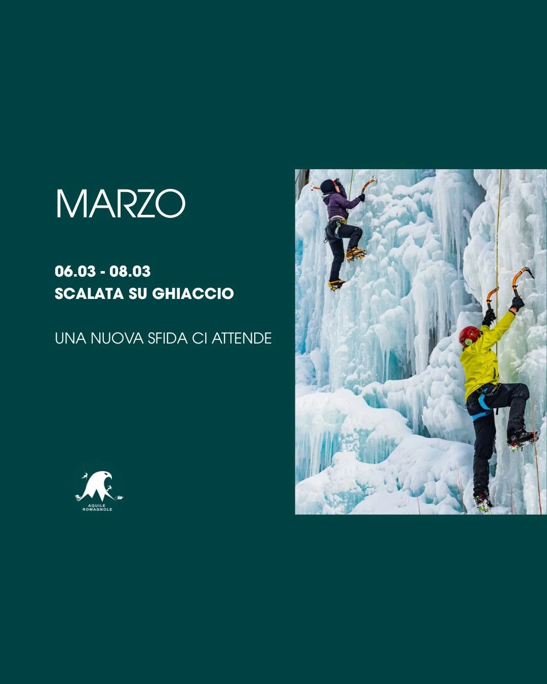 WhatsApp Image 2026-01-19 at 11.04.58.jpeg