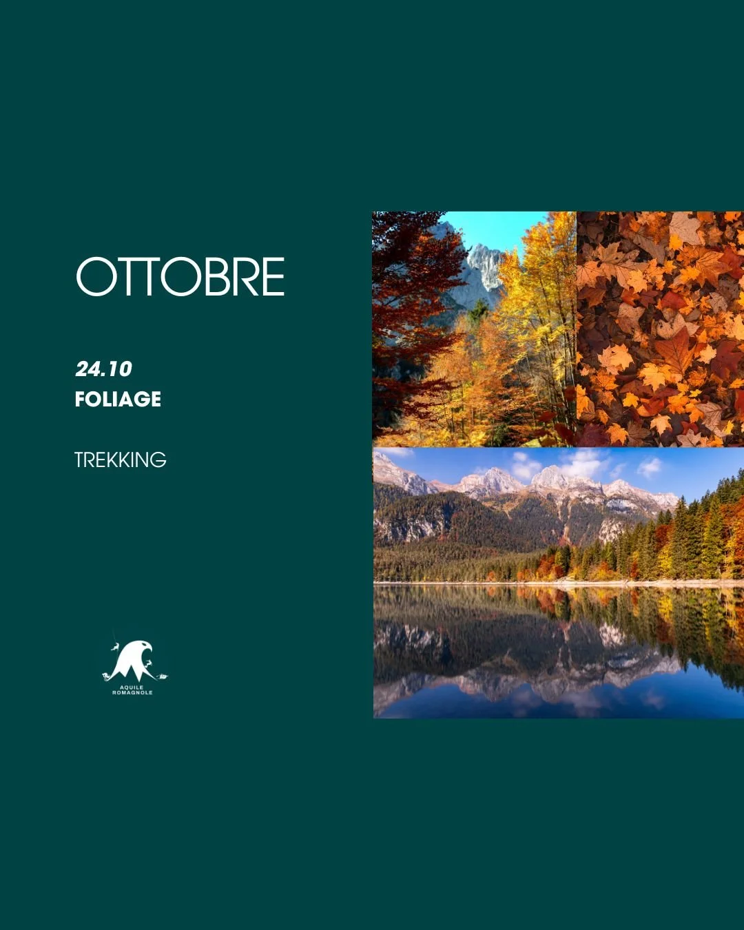 Trekking e foliage in Campigna