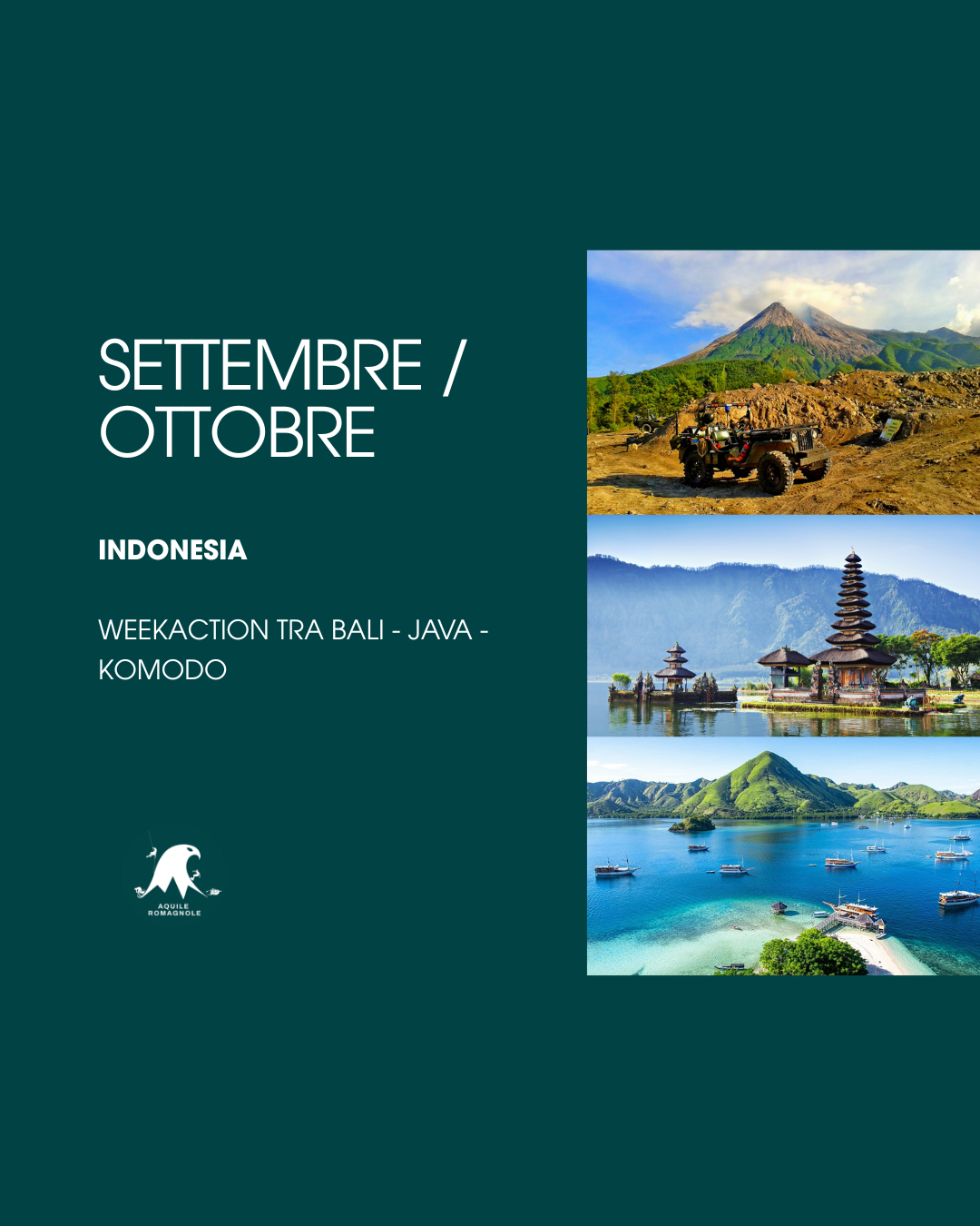 Indonesia Week-Action