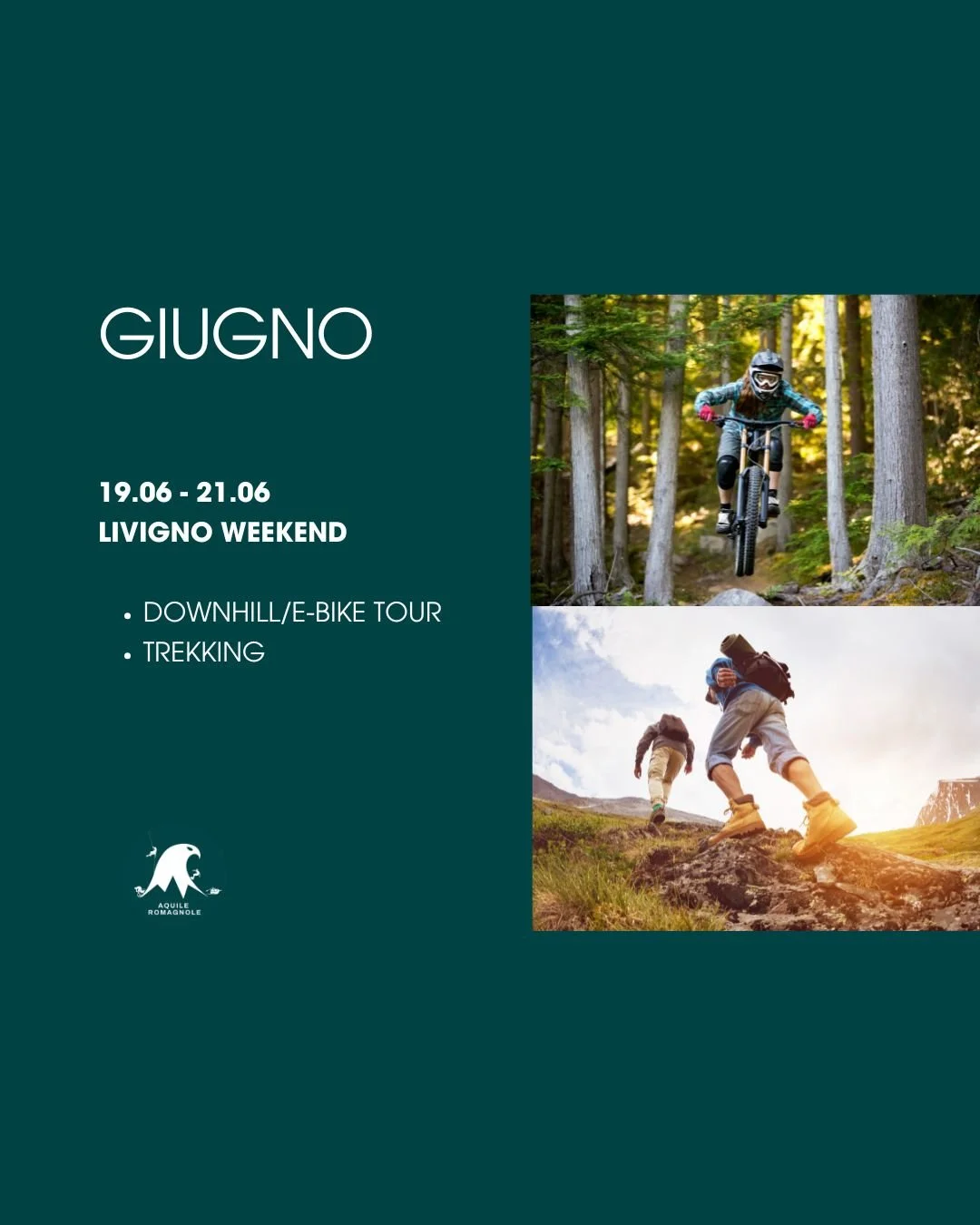 WhatsApp Image 2026-02-18 at 09.41.38.jpeg