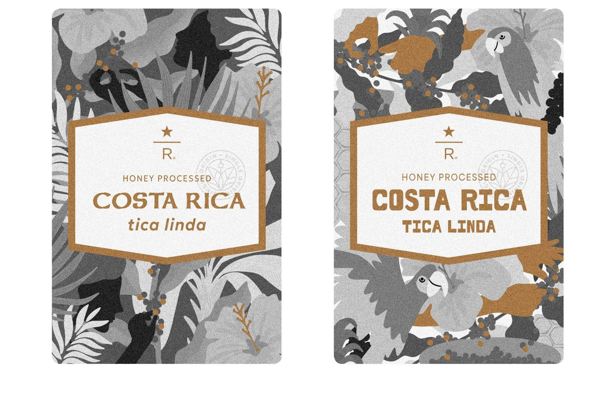 Concept sketches copy.jpg