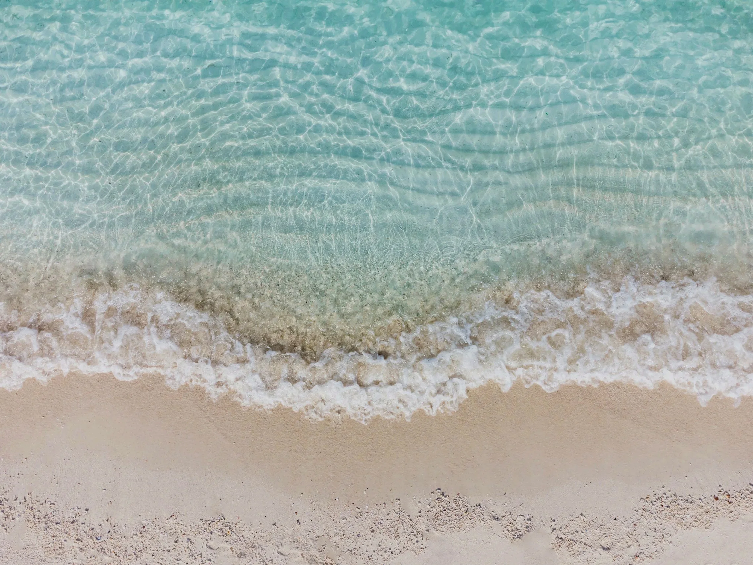 AdobeStock_413987130.jpg