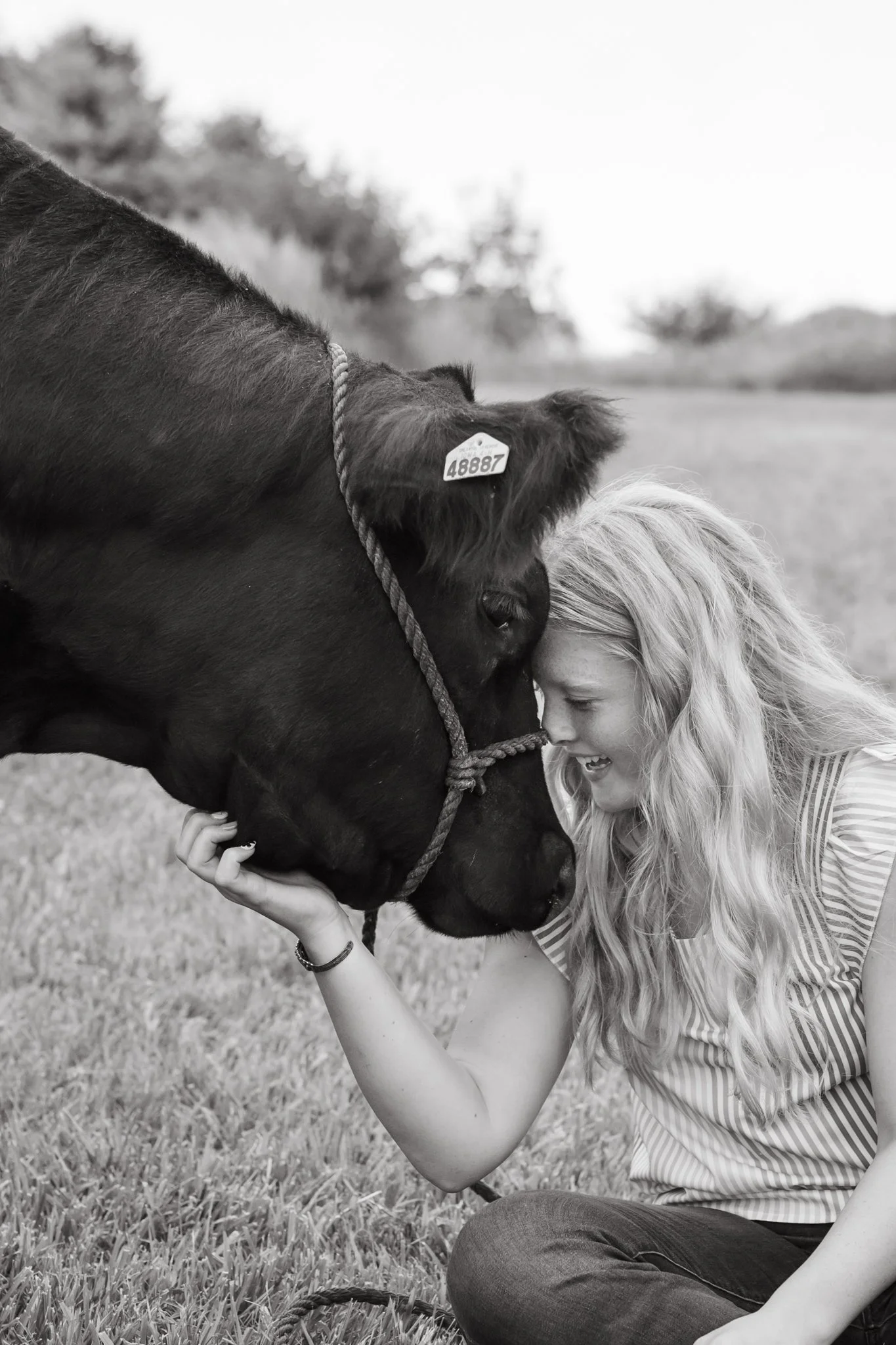 senior picture with steer.jpg