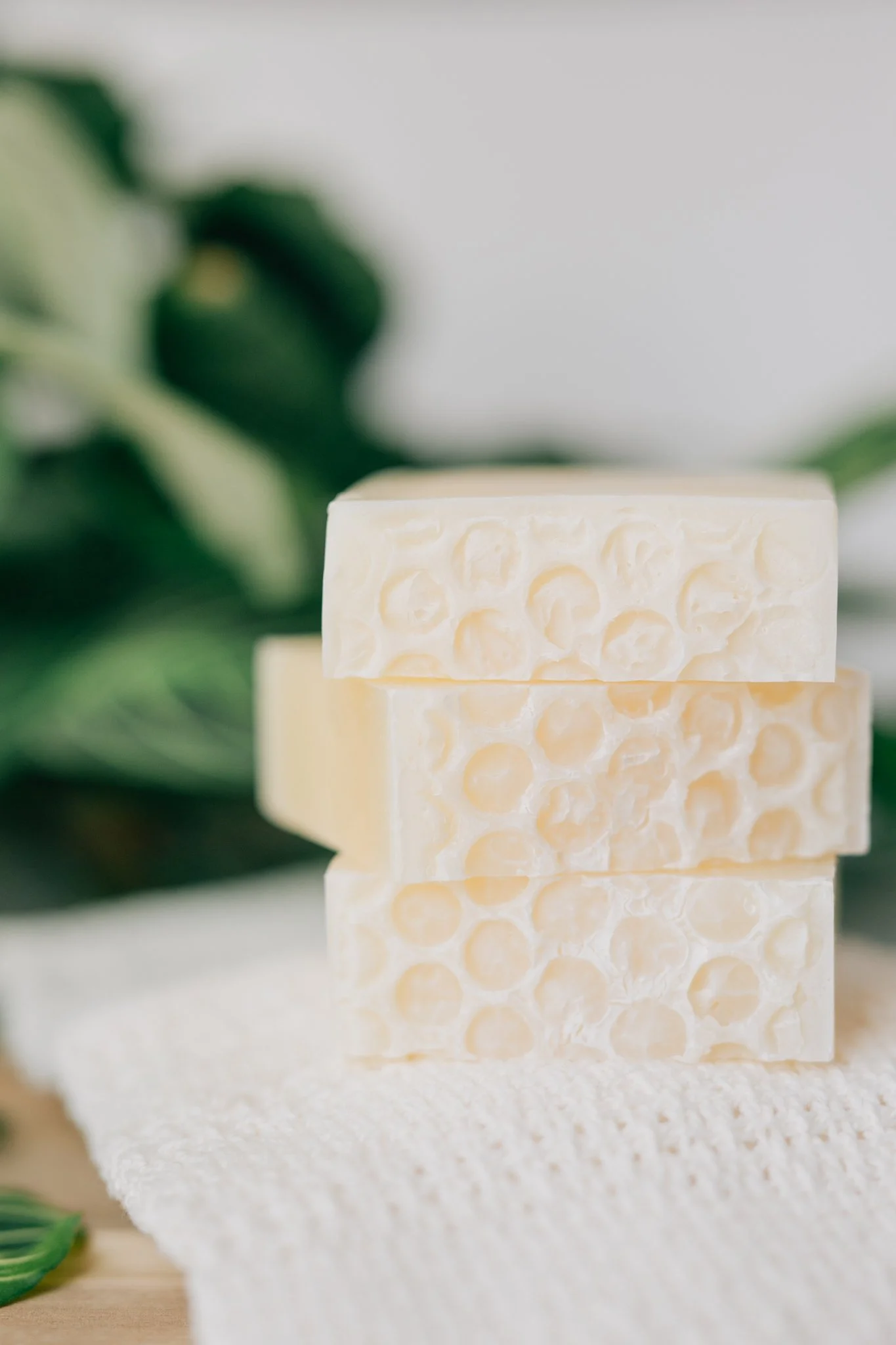 Product images for website and social media use done by Claire Petersen Photography.