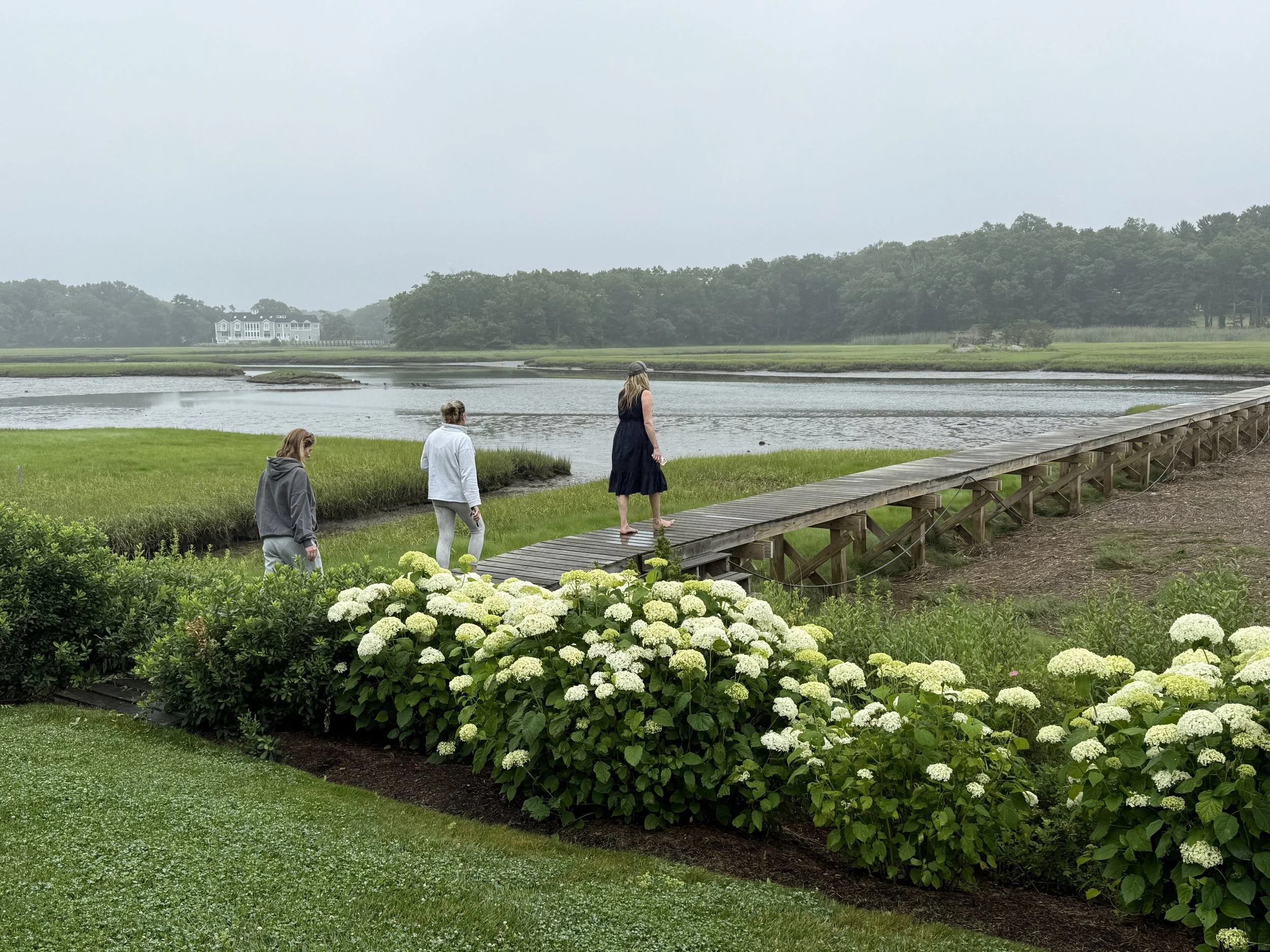 Three people walk on a wooden footbridge over a marshy area near a lake with houses and trees in the background, surrounded by lush greenery and white flowers in the foreground.