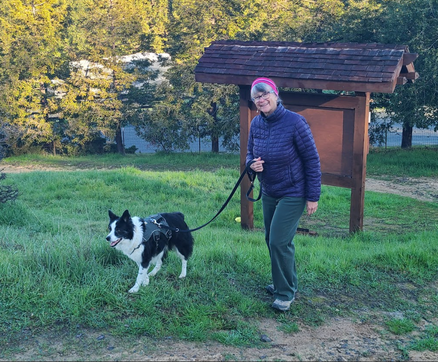 Is Your Dog a Weekend Warrior?                                                             How to Prevent Injuries and Keep Your Dog Healthy&nbsp;