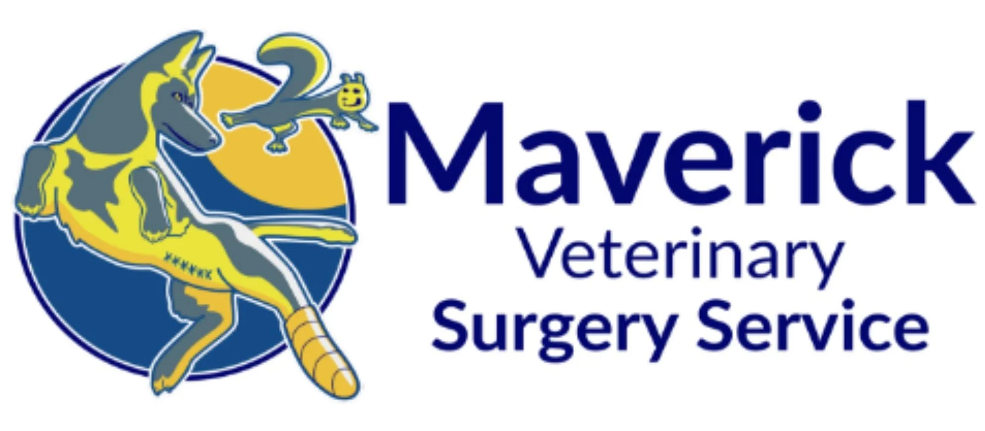 MVSS jpg logo.jpg