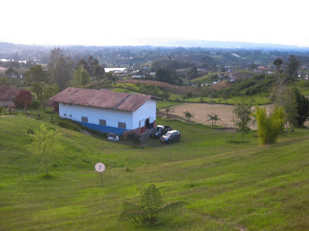 IMG_2667.gif