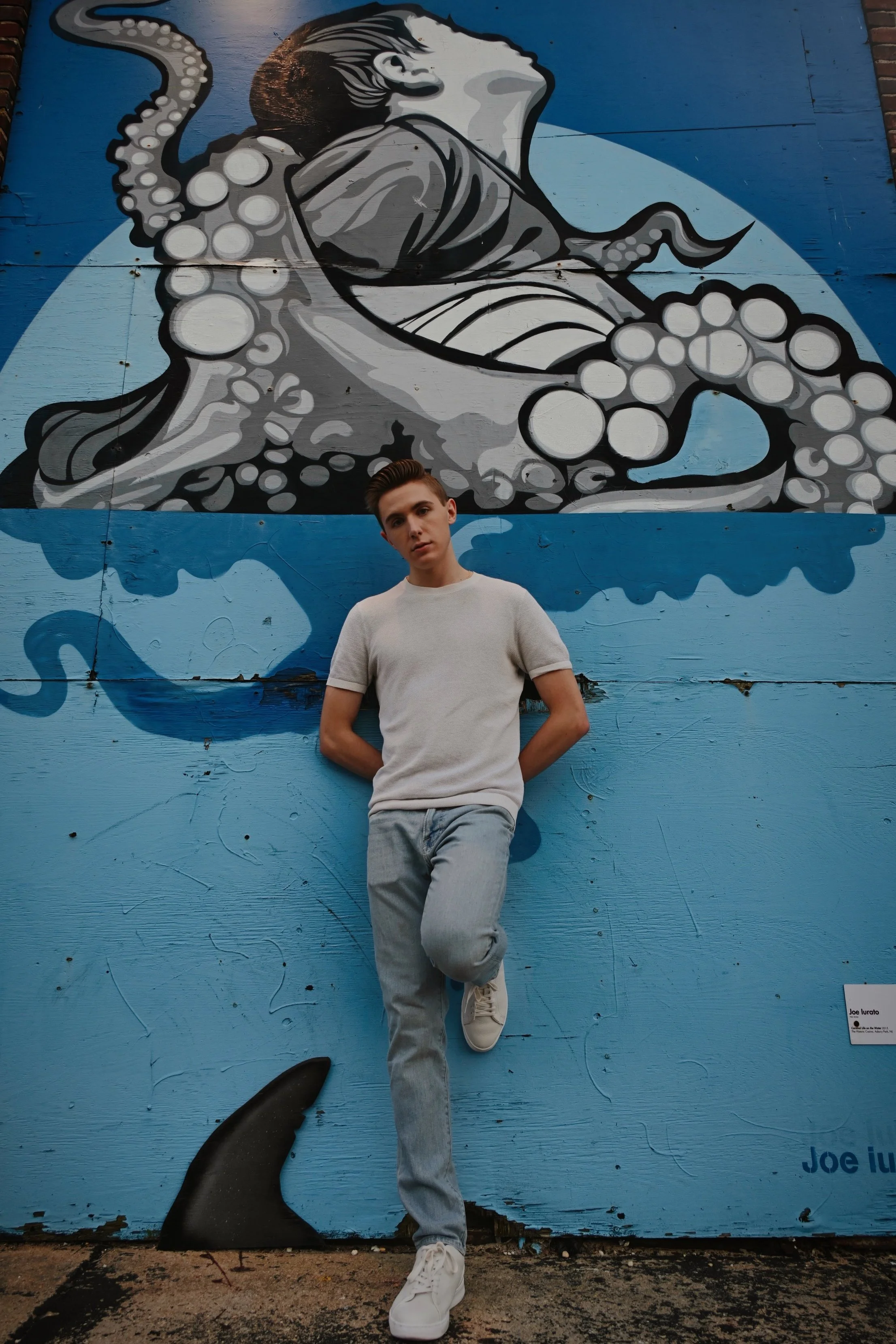 Model portfolio