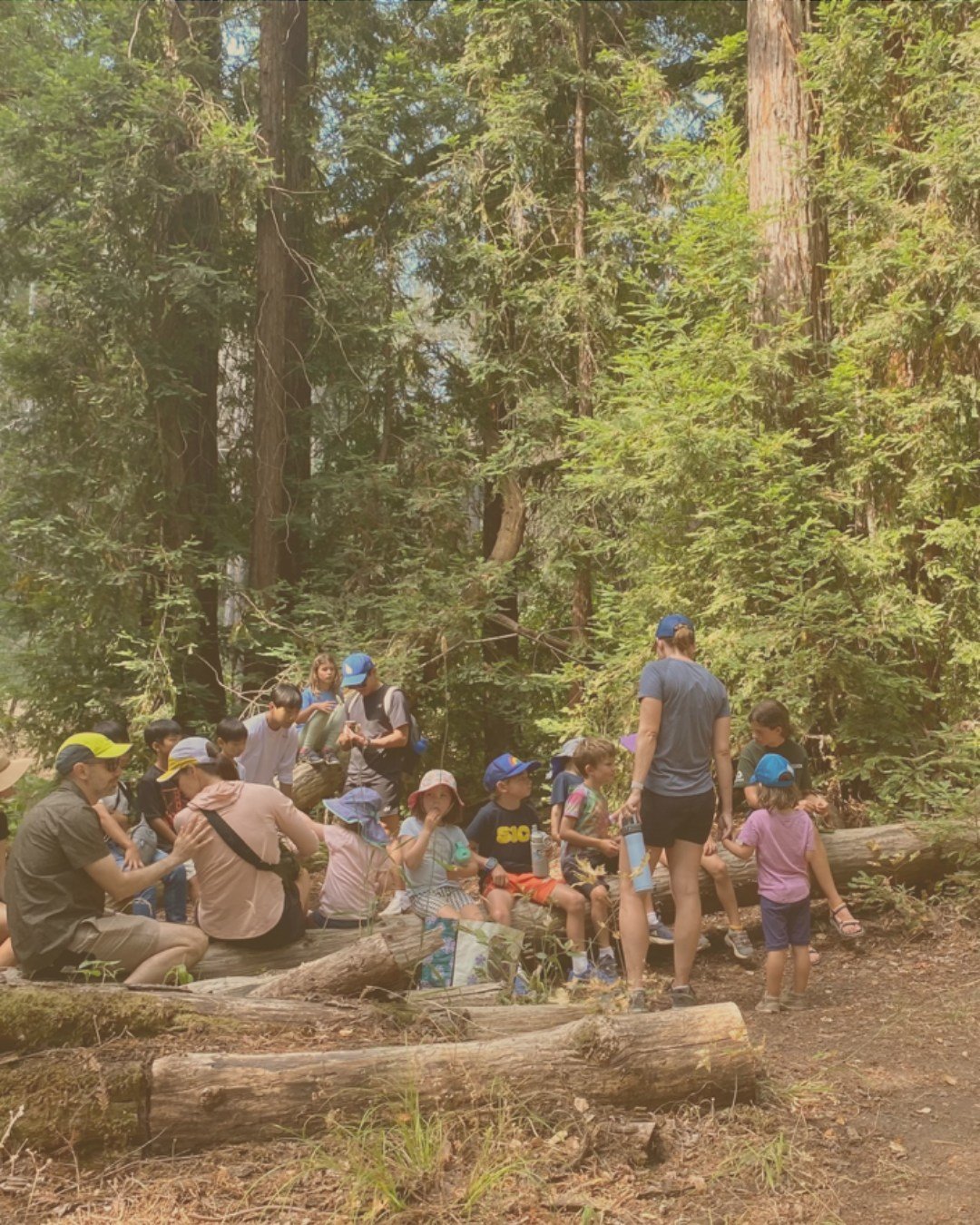 🌞 School&rsquo;s out. The parks are IN!
Looking for ways to keep the kids active and off screens this summer? The Napa Valley State Parks are filled with fresh air, fun trails, and events the whole family can enjoy!

👟 Hike under the redwoods.
🎨 J