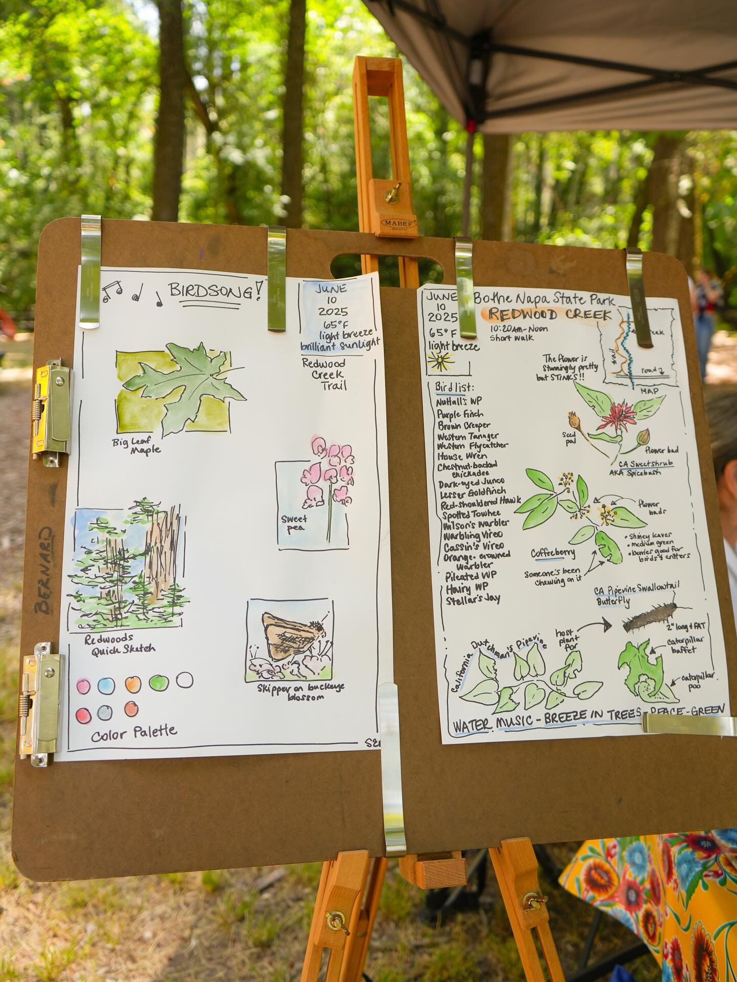 🎨✨ What a day! Thank you to everyone who joined us for our first-ever Inspired by the Land: Art in Parks event at Bothe-Napa Valley State Park. From hands-on art activities to live demonstrations and local makers to nature-inspired creativity &mdash