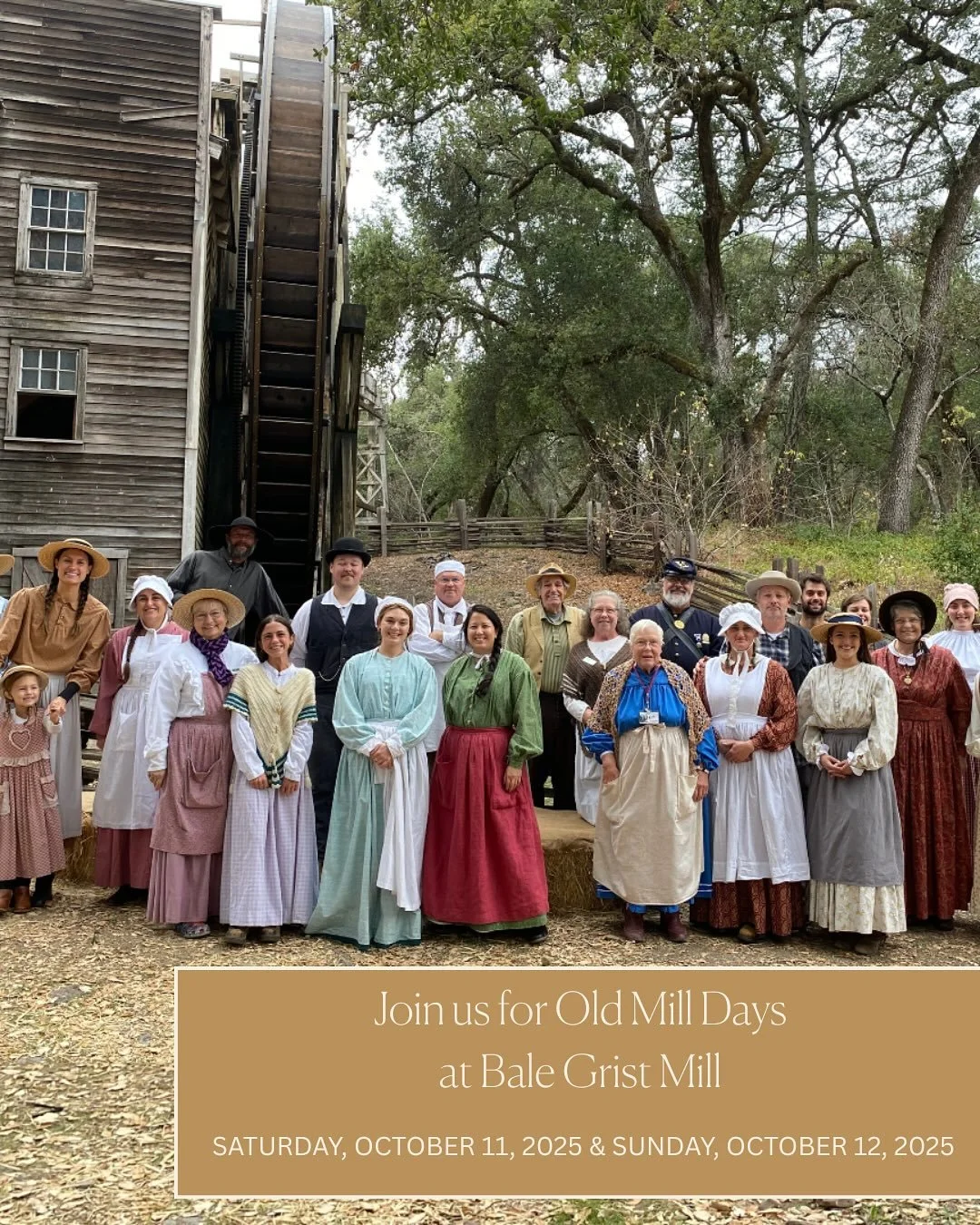 Join us for Old Mill Days! 

Step back to 1846 and experience Napa Valley before vineyards, when wheat ruled the fields and the Bale Grist Mill thundered with harvest activity. 

This is our biggest family event of the year at Bale Grist Mill &mdash;