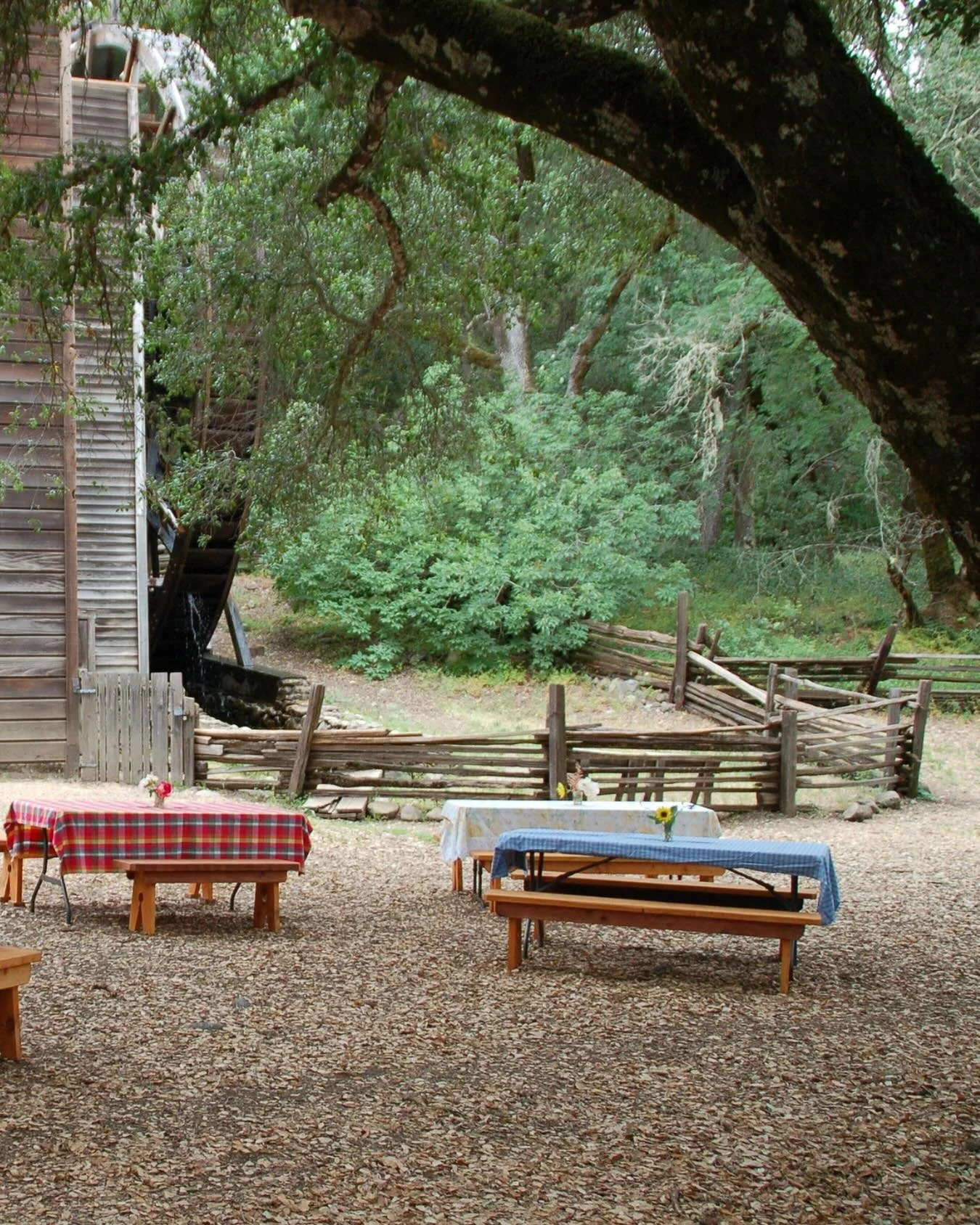 Take 5. Step outside. Breathe. That&rsquo;s the beauty of Napa Valley State Parks&mdash;you don&rsquo;t have to go far to reset. Next time you&rsquo;re out here, try leaving your phone in your bag and letting the sounds of nature be your playlist.
