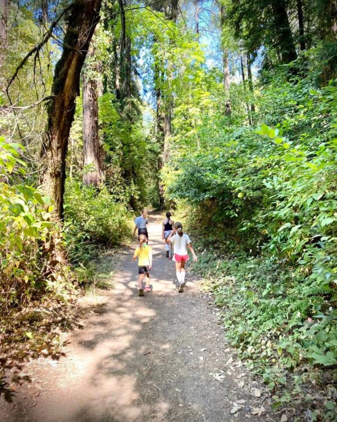 Napa Valley is more than wine&mdash;it&rsquo;s redwoods, rushing creeks, and trails that tell stories older than the vines themselves. 🌿

When you visit Bothe-Napa Valley State Park, Robert Louis Stevenson or Bale Grist Mill, you&rsquo;re not just e