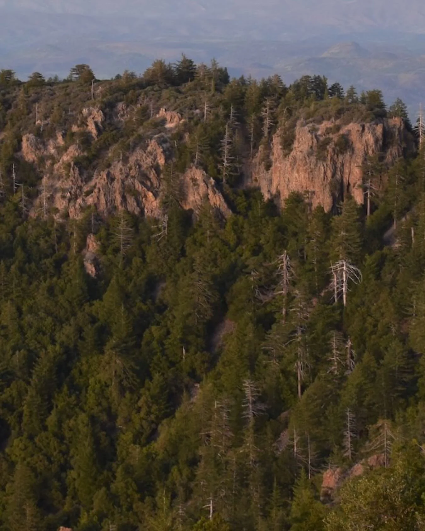 Earlier this fall,&nbsp;Give!Guide Napa Valley&nbsp;featured a piece all about our parks &mdash; our rich history, natural beauty, and the role community donations play in keeping them open and thriving.
If you haven&rsquo;t read it yet, it&rsquo;s a