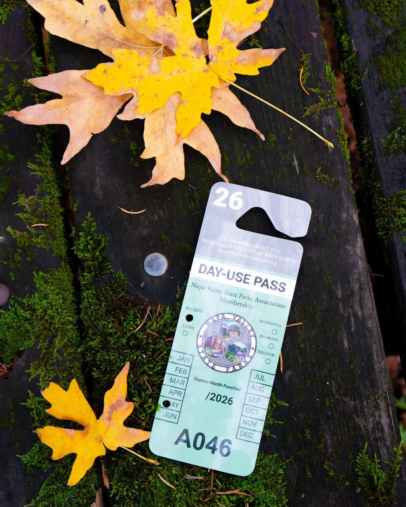 Some gifts are enjoyed for a moment &mdash; this one lasts all year. 💚

This holiday season, give the Gift of Parks with our new membership bundles &mdash; the perfect way to share adventure, history, and nature&rsquo;s quiet beauty with the people 