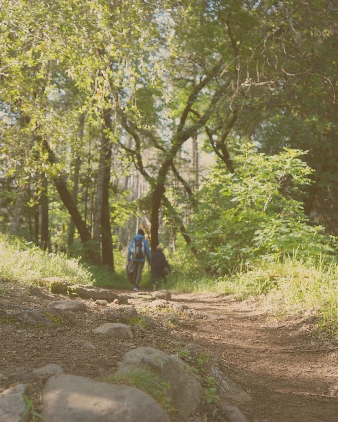 Some stories remind us why places like this matter. 🌿
What is now Bothe-Napa Valley State Park&rsquo;s Visitor Center was originally built for George and Angeline Kellogg Tucker. Both the Kellogg and Tucker families crossed the country in covered wa