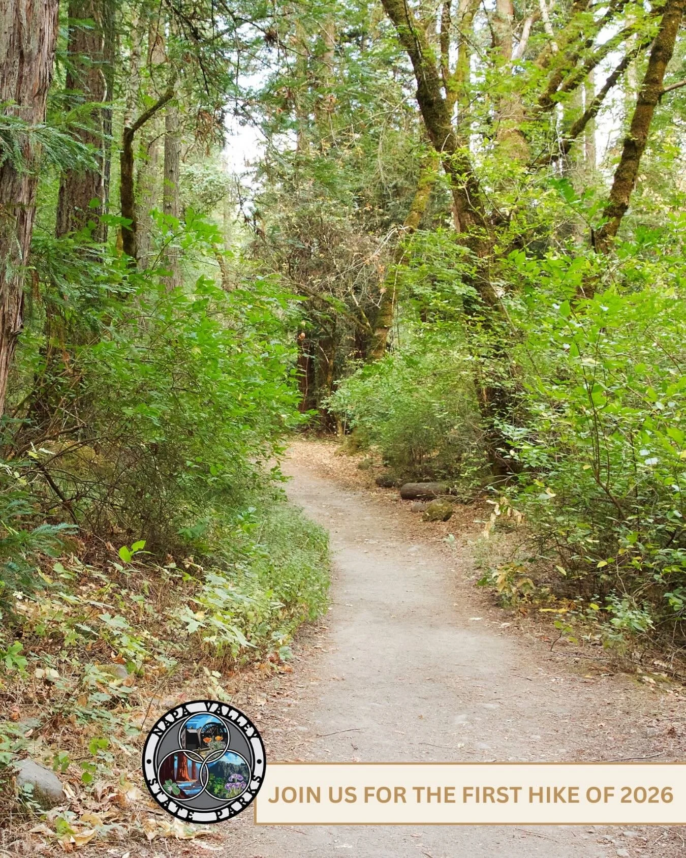 First Day Hike at Bothe-Napa Valley State Park🌲

Start the new year immersed in nature on an easy to moderate guided hike beginning at 10:00 AM on Thursday January 1st!

Join local fitness instructor and Napa Valley State Parks Association Board Mem