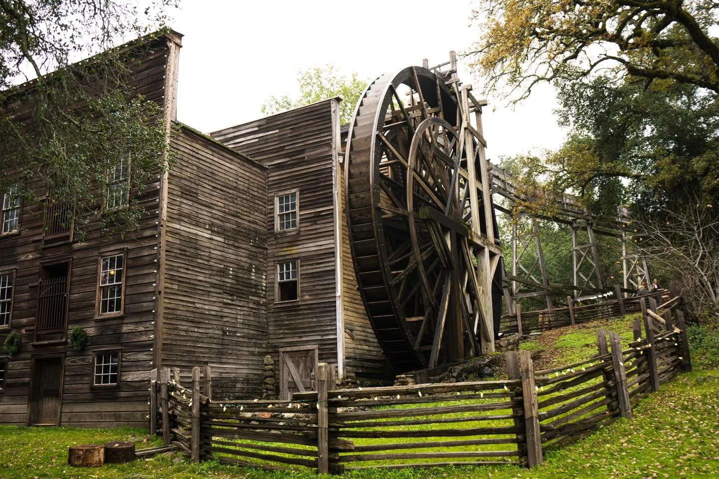 ⏳ Only 48 hours remain in our Give!Guide campaign.
We&rsquo;re raising $15,000 to support and care for our three Napa Valley state parks &mdash; the places that hold our history, welcome our community, and connect us to nature year after year.
Every 