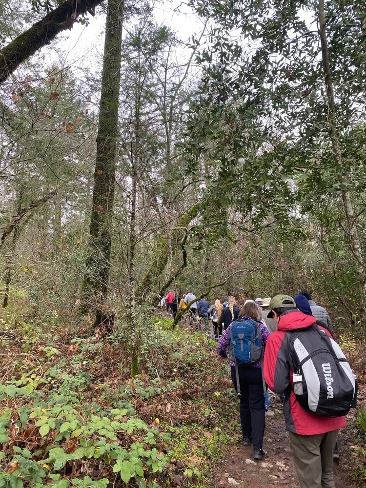 As the new year approaches, it&rsquo;s the perfect time to set resolutions that actually feel good 🌿

Spending time outdoors has been shown to reduce stress, improve mental health, boost energy, and support overall well-being. Getting outside &mdash