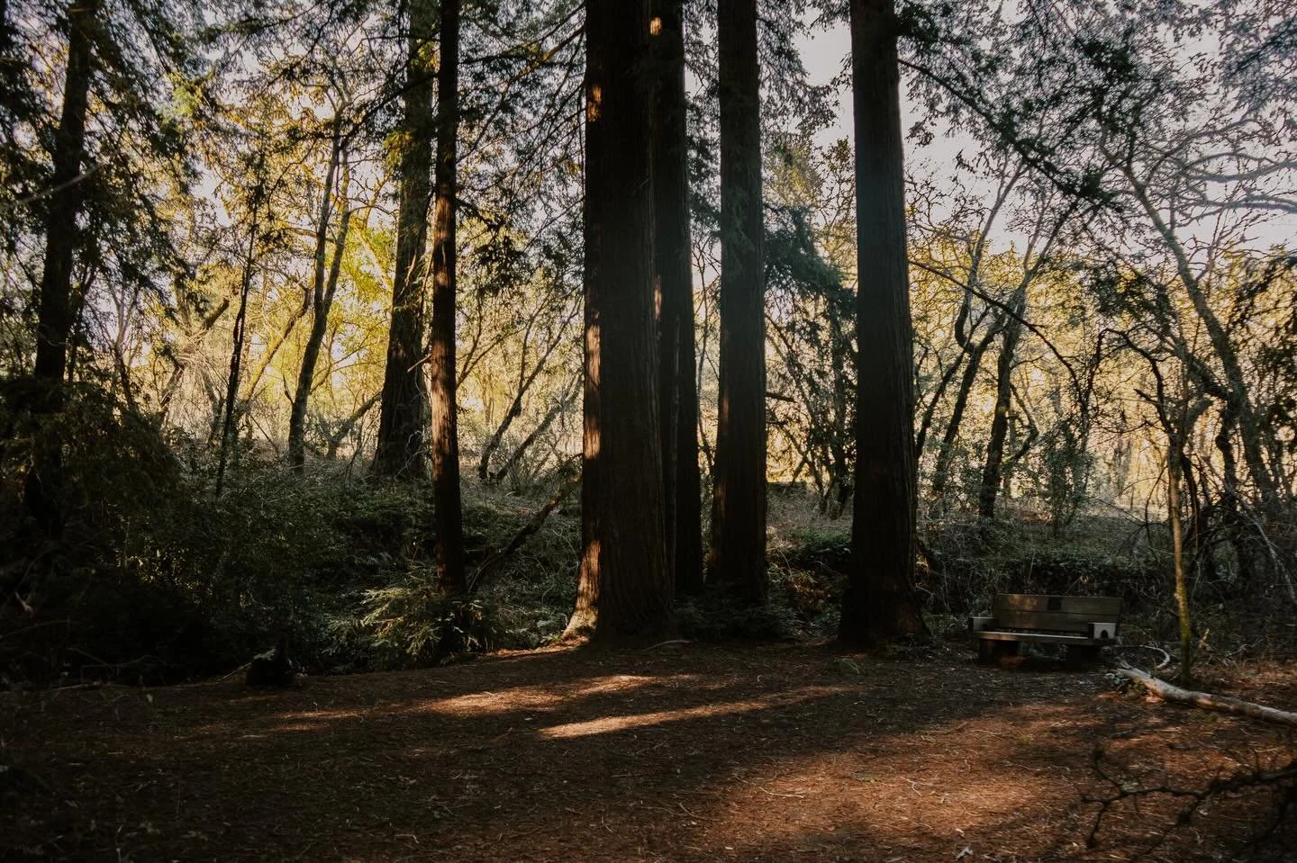 A new year is the perfect excuse to get outside and get moving at Bothe.