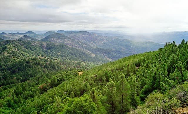 A reminder that you don&rsquo;t have to go far to reconnect with nature. Living in Napa Valley, we have the luxury of having three state parks in our own backyard. 

Get up and get moving today!