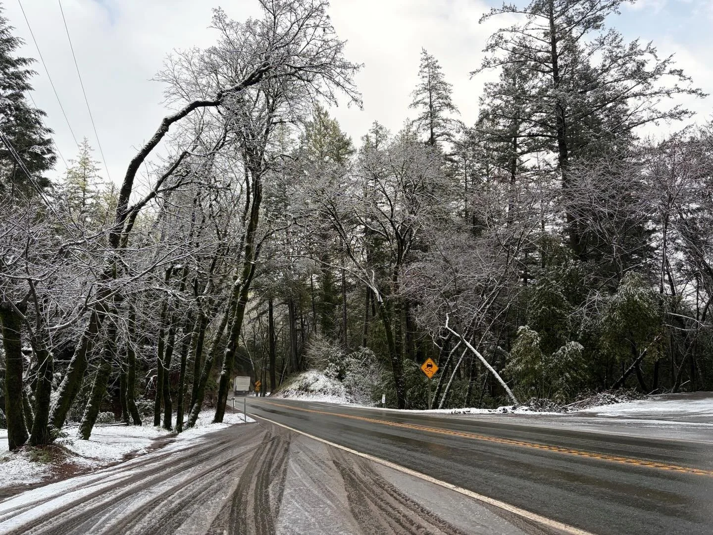 What a snowy treat! ❄️

Robert Louis Stevenson State Park woke up to a dusting of snow yesterday, and it&rsquo;s the kind of rare magic we don&rsquo;t get to see very often around here. Snow-covered trails, quiet white hillsides, and that crisp mount