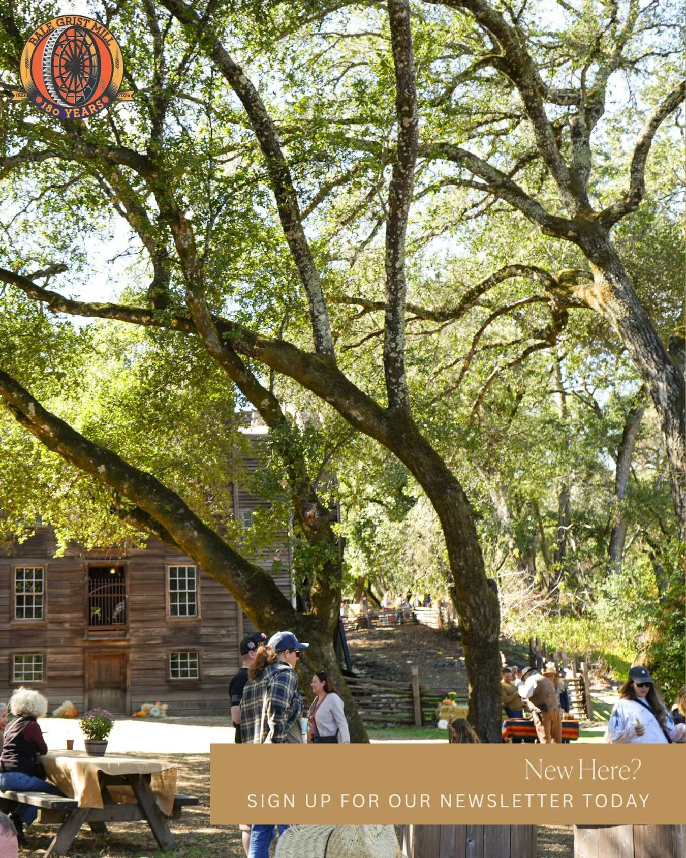 New here? Welcome! 

Be the first to hear about Napa Valley State Parks&rsquo; events, history, and ways to get involved! Sign up for our monthly newsletter and stay connected. Click the link in our bio or visit our website to sign up. 

www.napavall