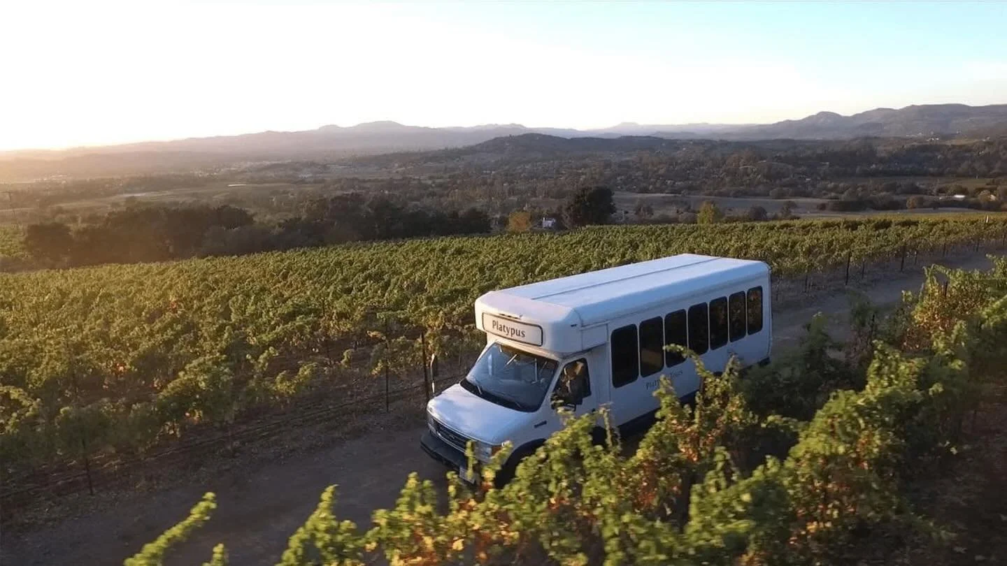 On April 17, an incredible journey awaits! One of our 2025 Harvest Auction winners and their group will join Dr. John Livingston for a one-of-a-kind geology tour. This exclusive excursion will unveil the natural wonders beneath our feet and the stori