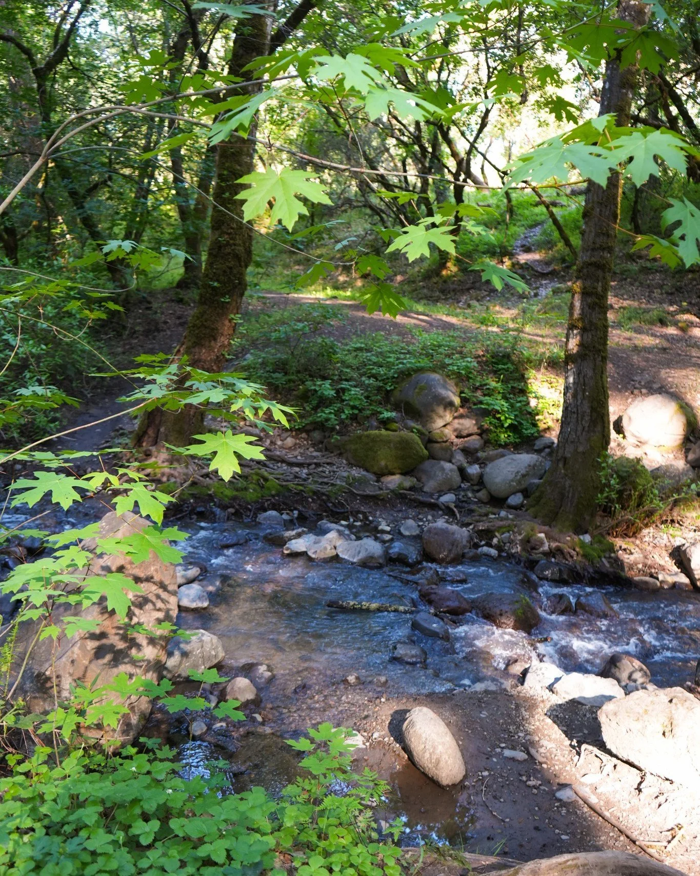 A little spring shopping&hellip; for a great cause.

Next weekend, join us at Veronica Beard for a Sip &amp; Shop benefiting NVSPA. Enjoy a relaxed afternoon browsing beautiful spring styles while sipping local wine &mdash; all while supporting the p