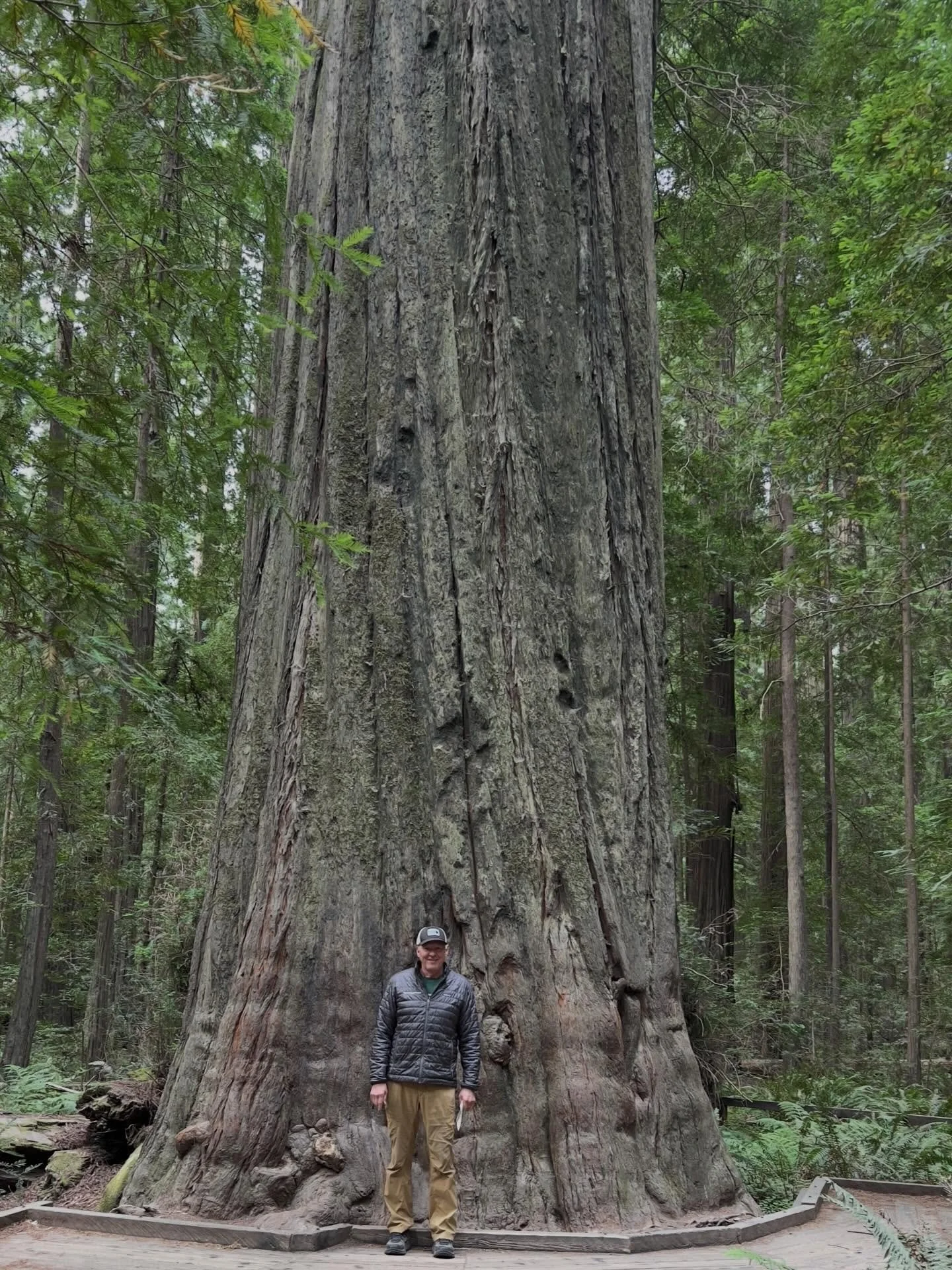 Have you ever walked through the forest with someone who can actually tell you the story of the trees around you?

Join naturalist Paul Asmuth (MS in Forestry, founder of the Napa Valley Community Forest) and fitness instructor/board member Kerry Bra