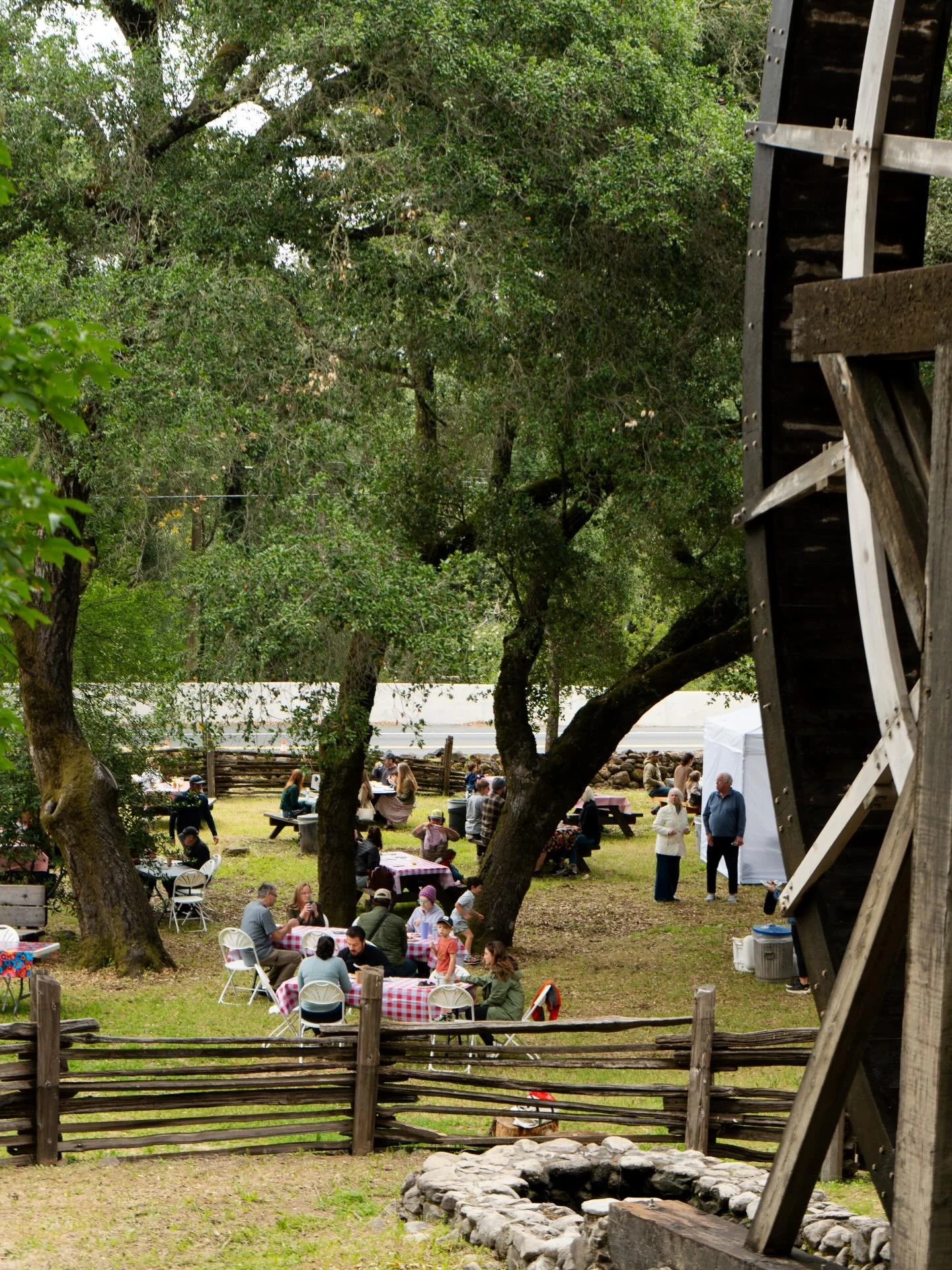 The parks are calling! Take the hike, pack the picnic, explore the trails, wander through the Mill, and spend a little more time outside this season.

By becoming a member or making a donation to Napa Valley State Parks Association, you help protect 