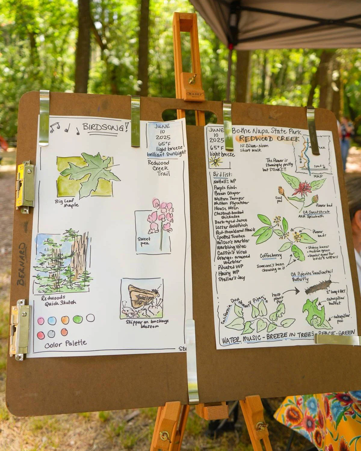 Art in the Park is back at Bothe Napa Valley State Park on Saturday, June 13! 

Stroll under the trees, soak up the summer sun, and explore an open-air art market featuring local painters, woodworkers, custom crayons, and so much more. This is the pe