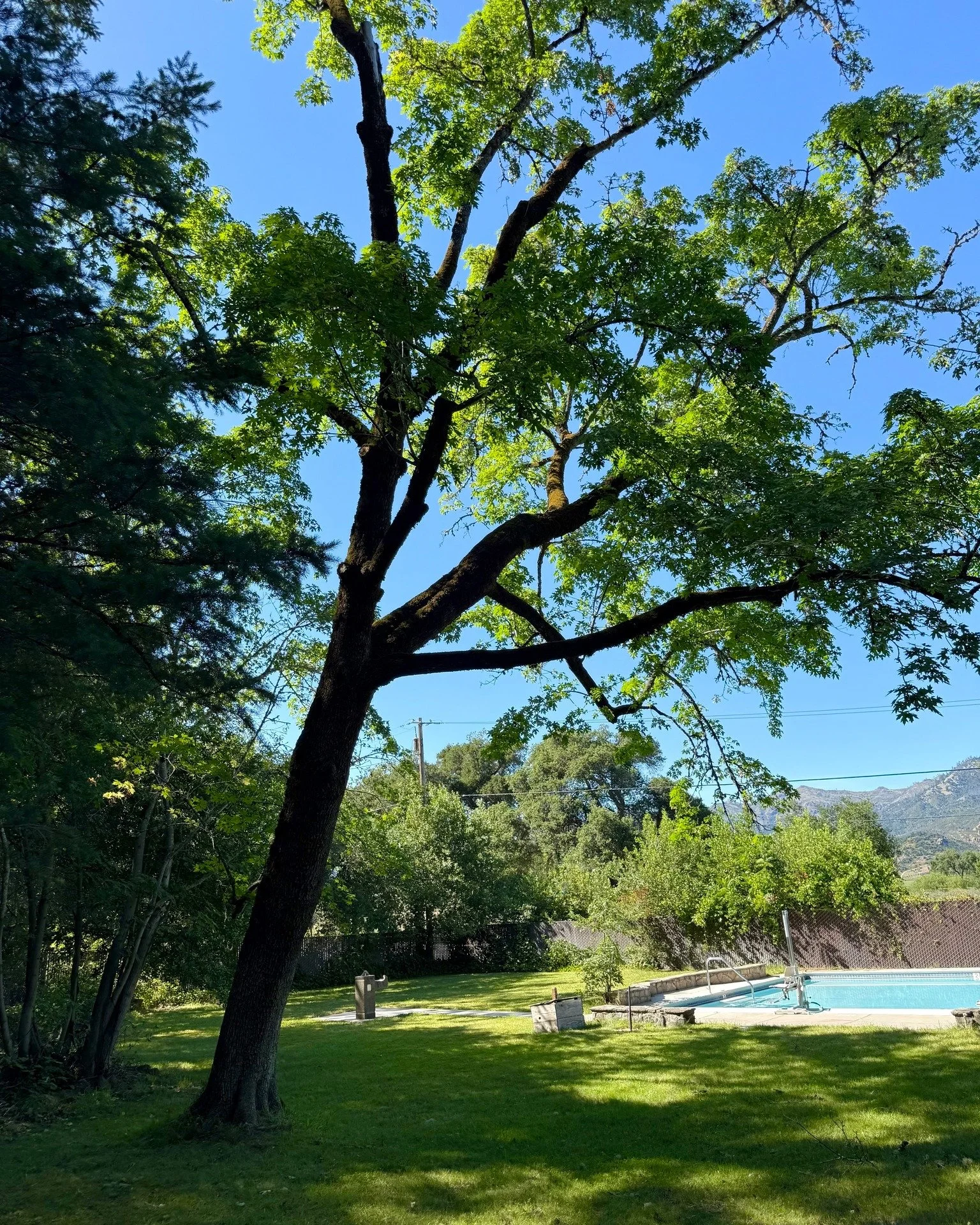 Happy Memorial Day Weekend from all of us at NVSPA!

If you&rsquo;re not rockin&rsquo; it at Bottlerock this weekend&hellip; we&rsquo;ll see you at the pool! 😎
The pool at is officially open for the summer season, and we&rsquo;re really excited for 