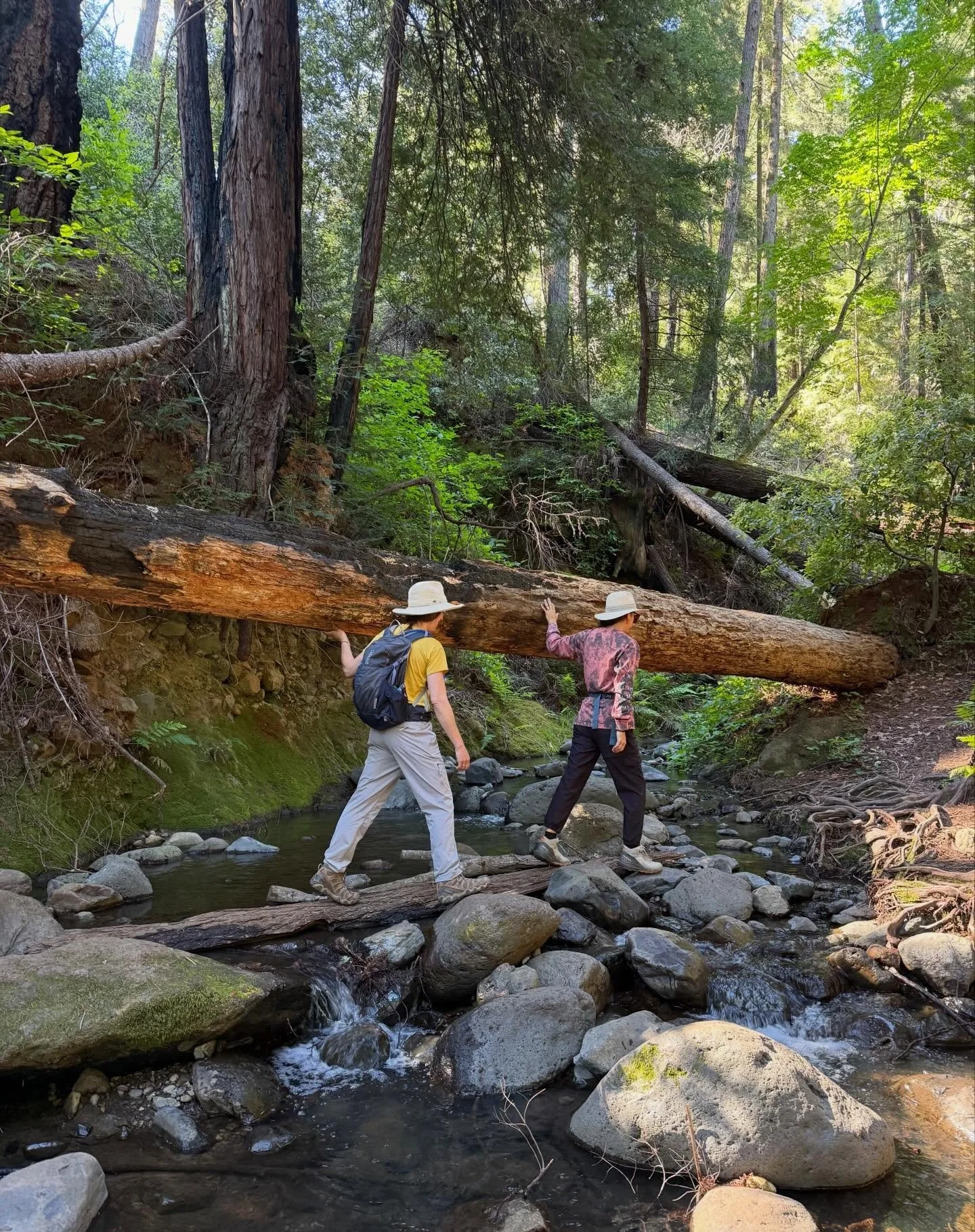 Sometimes the trail asks you to slow down.

To steady yourself.
To help one another across.
To notice the sound of the creek rushing below and the quiet strength of the forest around you.

These are the moments that stay with us long after we leave t